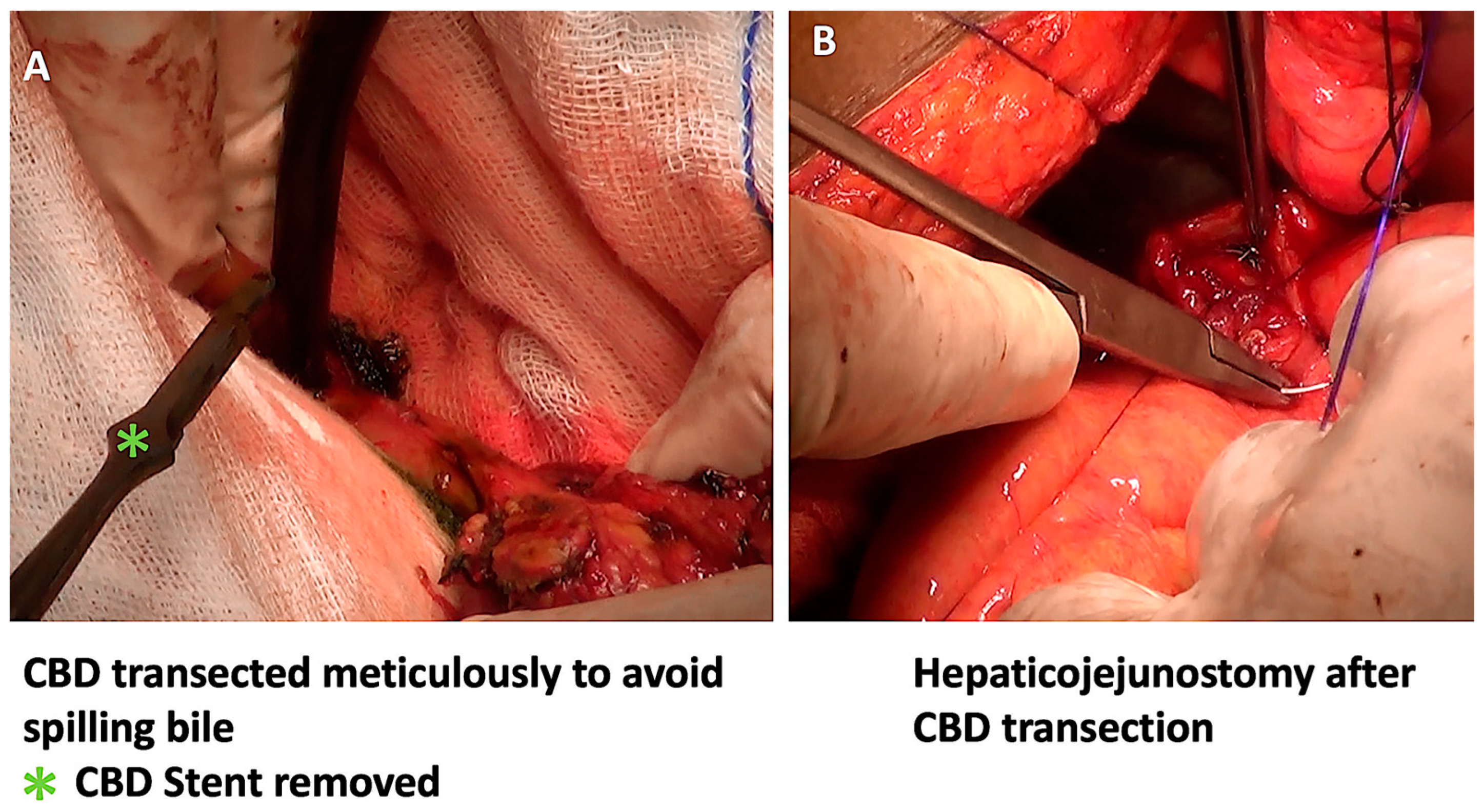 Pathogens 12 00448 g004 Pathogens 12 00448 g004