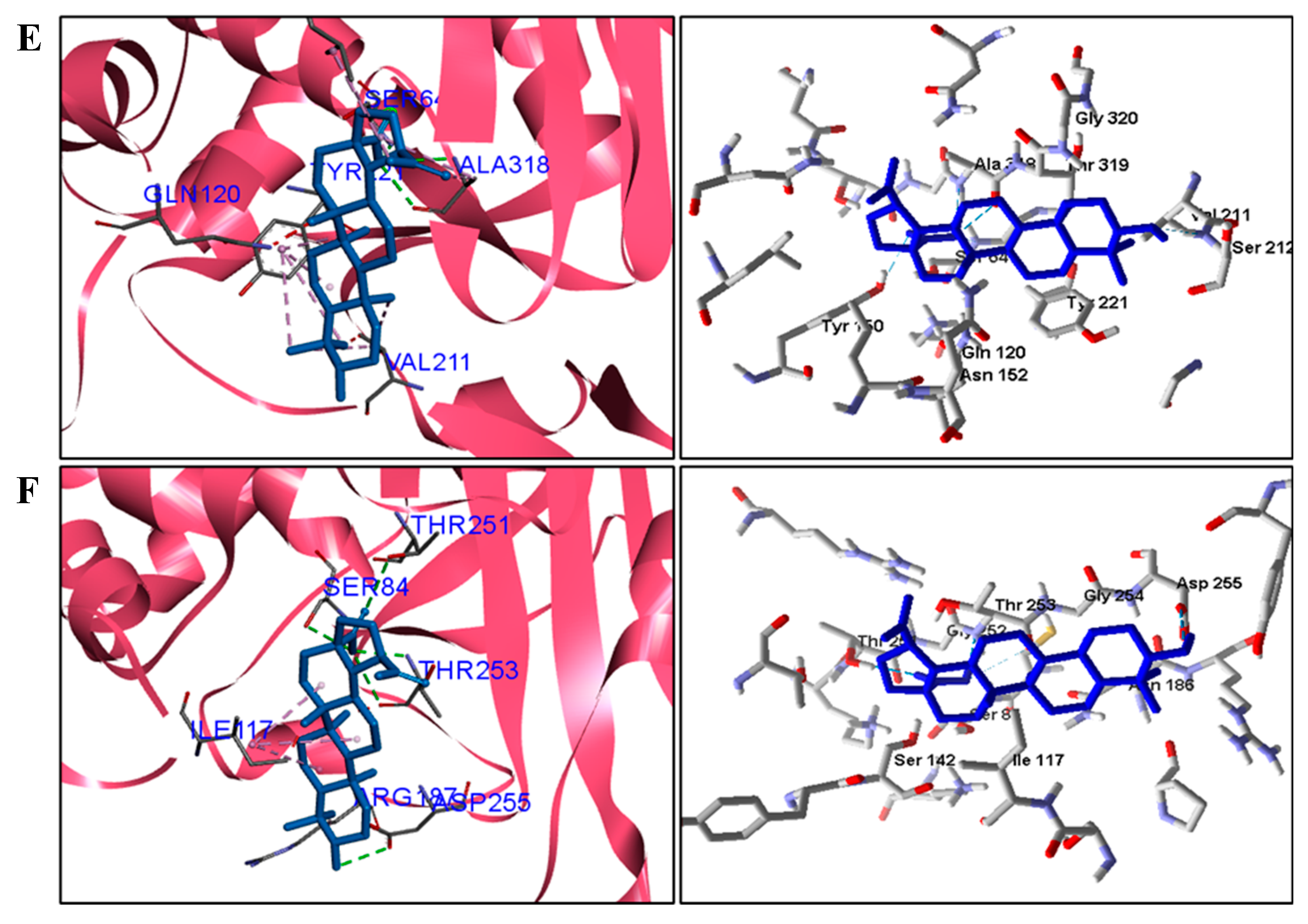 Pathogens 12 00449 g004b