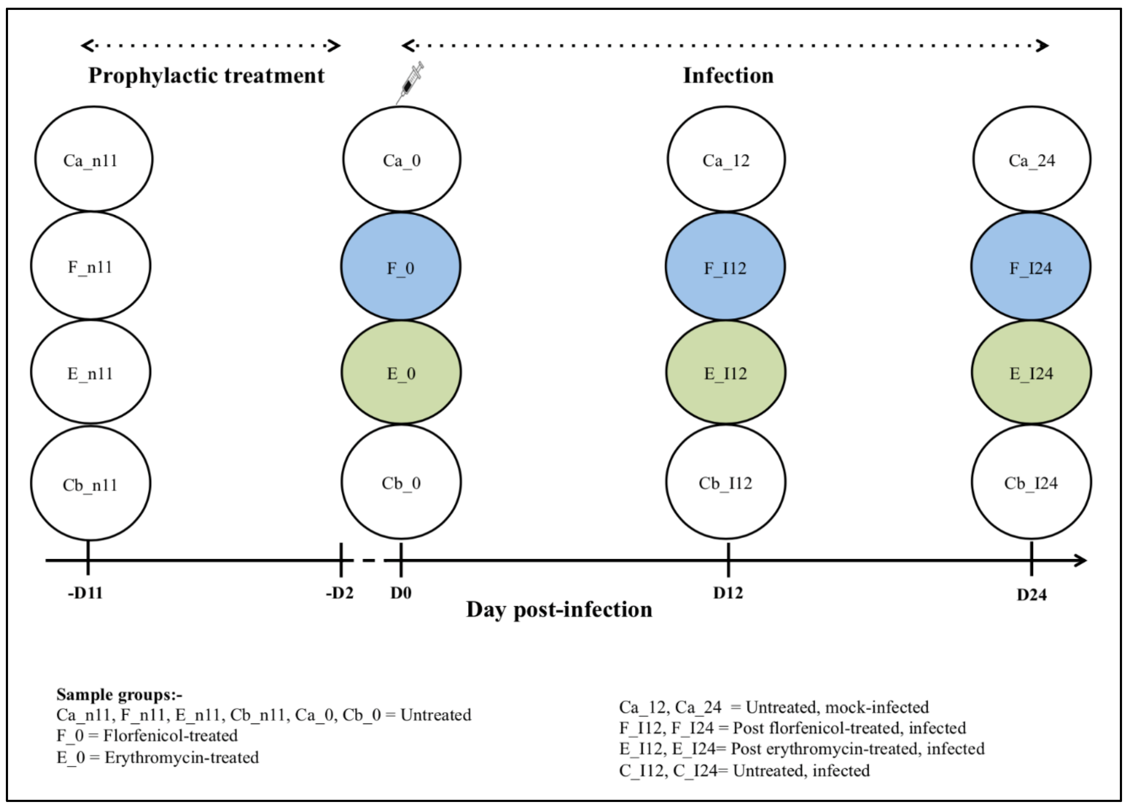 Pathogens 12 00454 g001