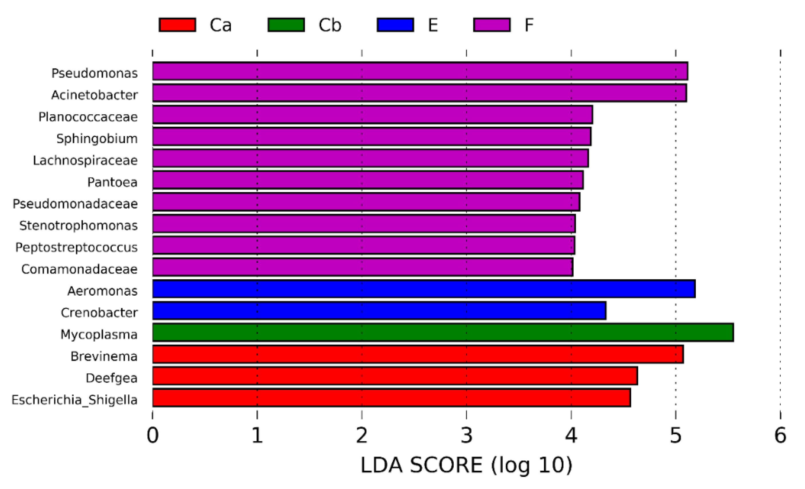 Pathogens 12 00454 g007