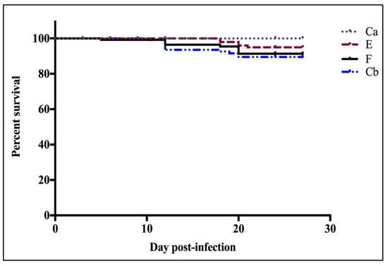 Impact of Infection with Flavobacterium psychrophilum and Antimicrobial ...