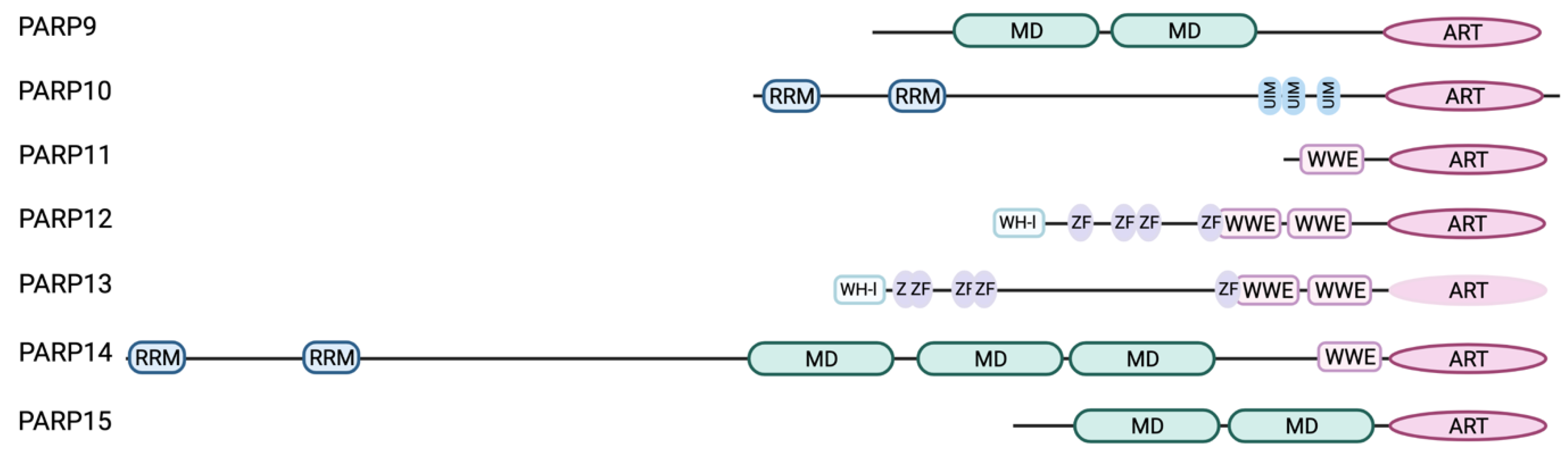 Pathogens 12 00457 g001