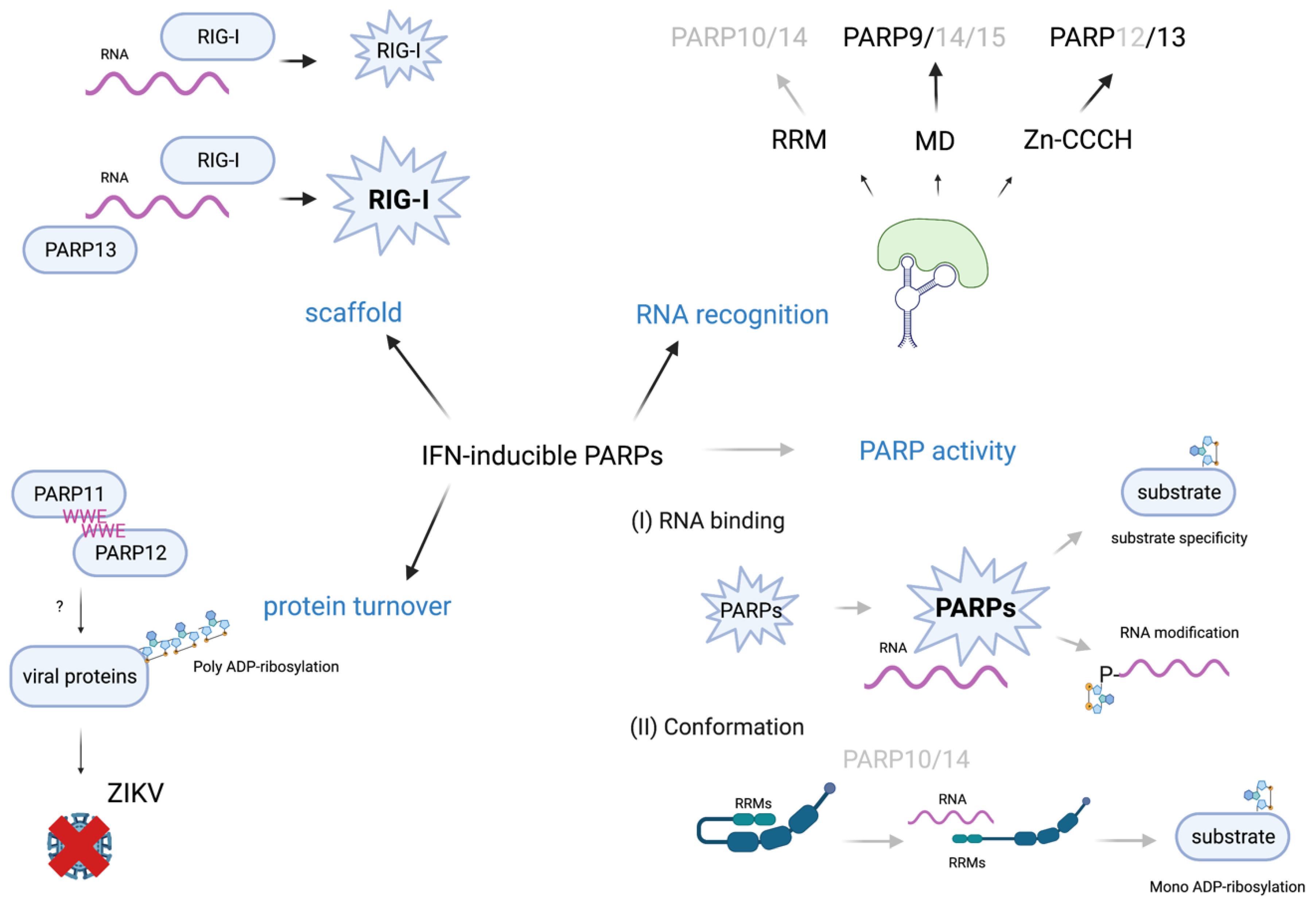 Pathogens 12 00457 g003