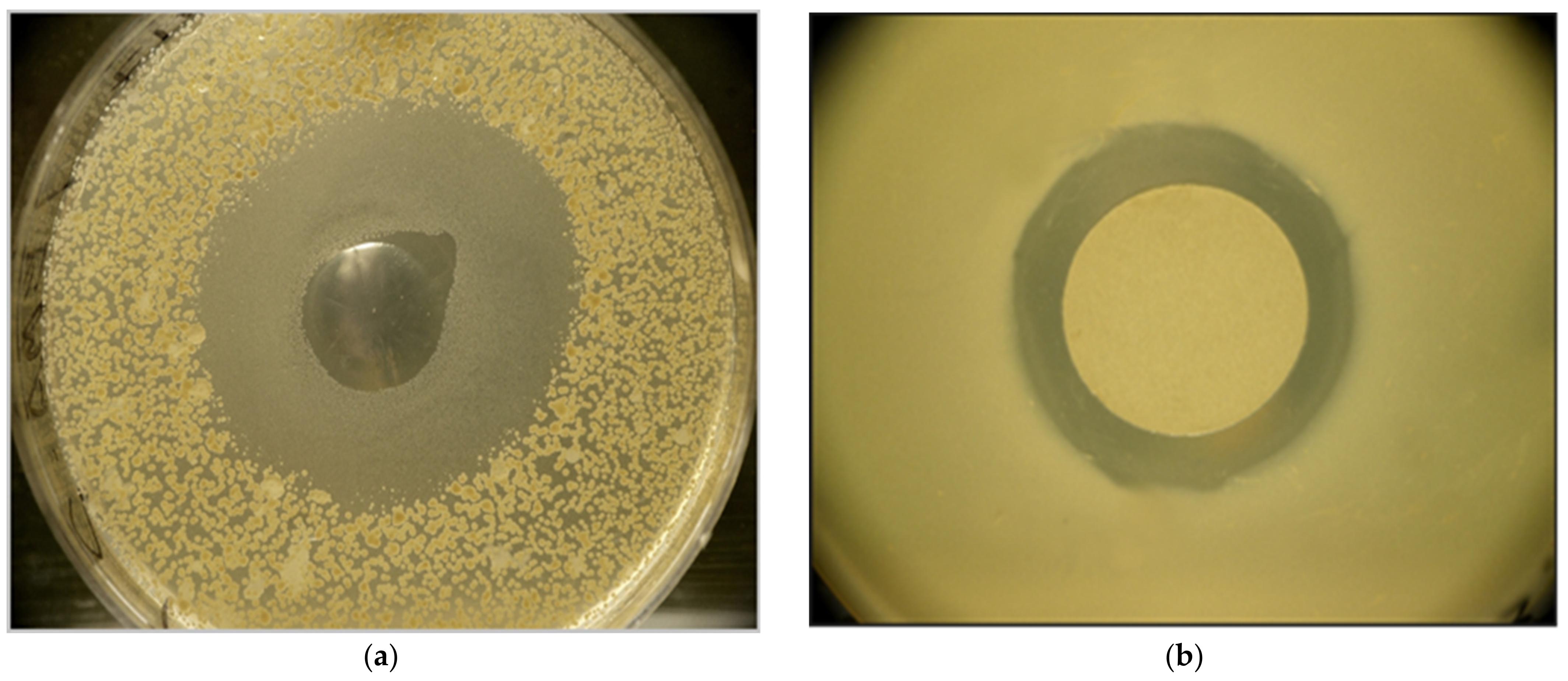 Pathogens 12 00458 g001