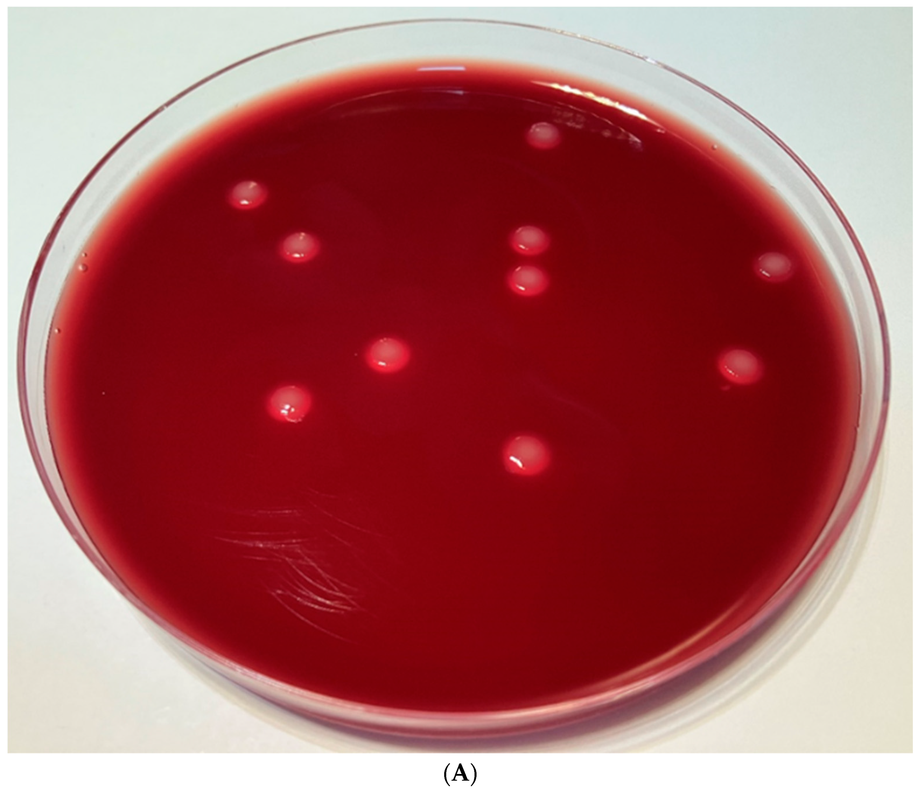 Pathogens 12 00458 g004a