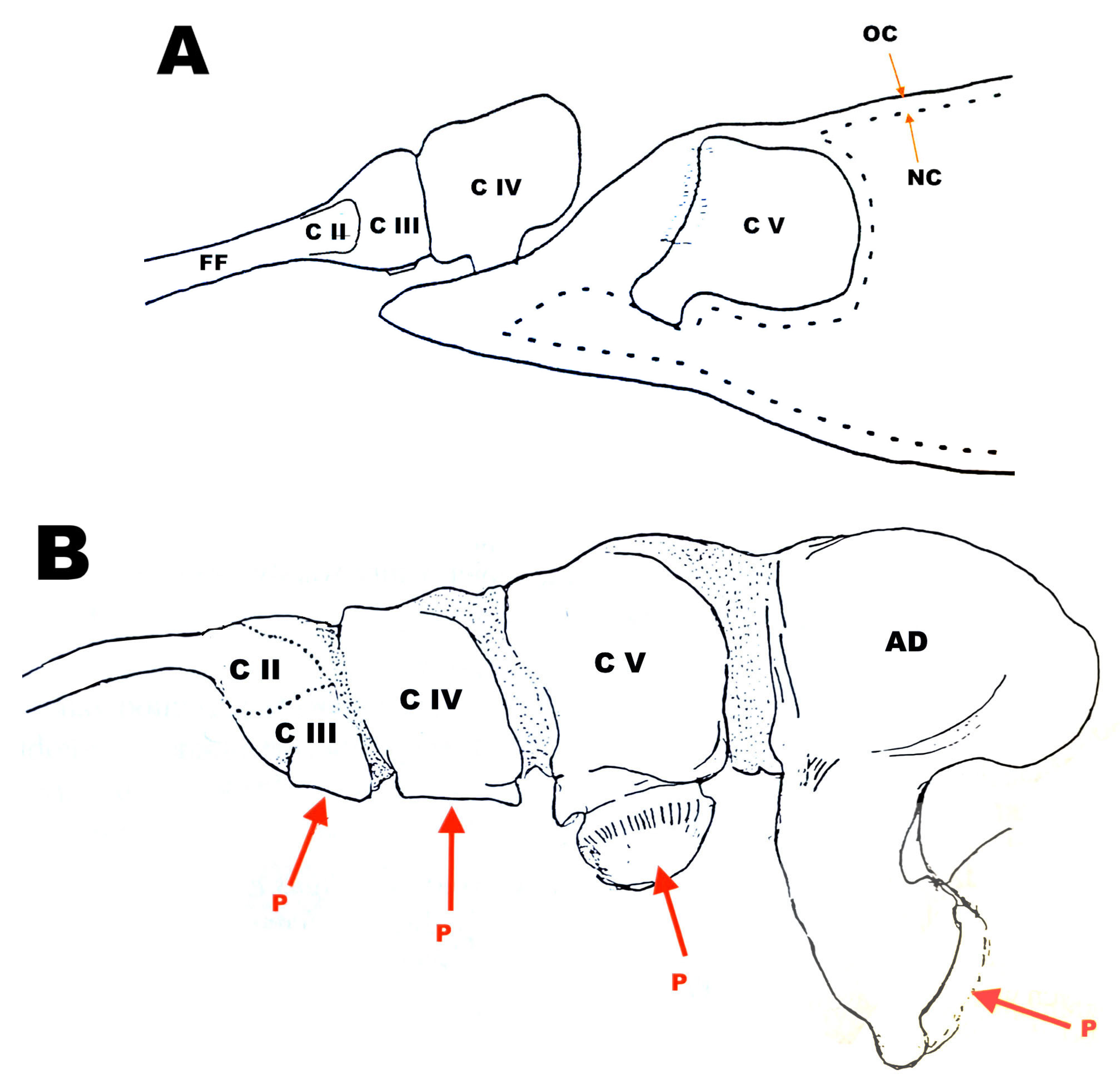 Pathogens 12 00460 g002