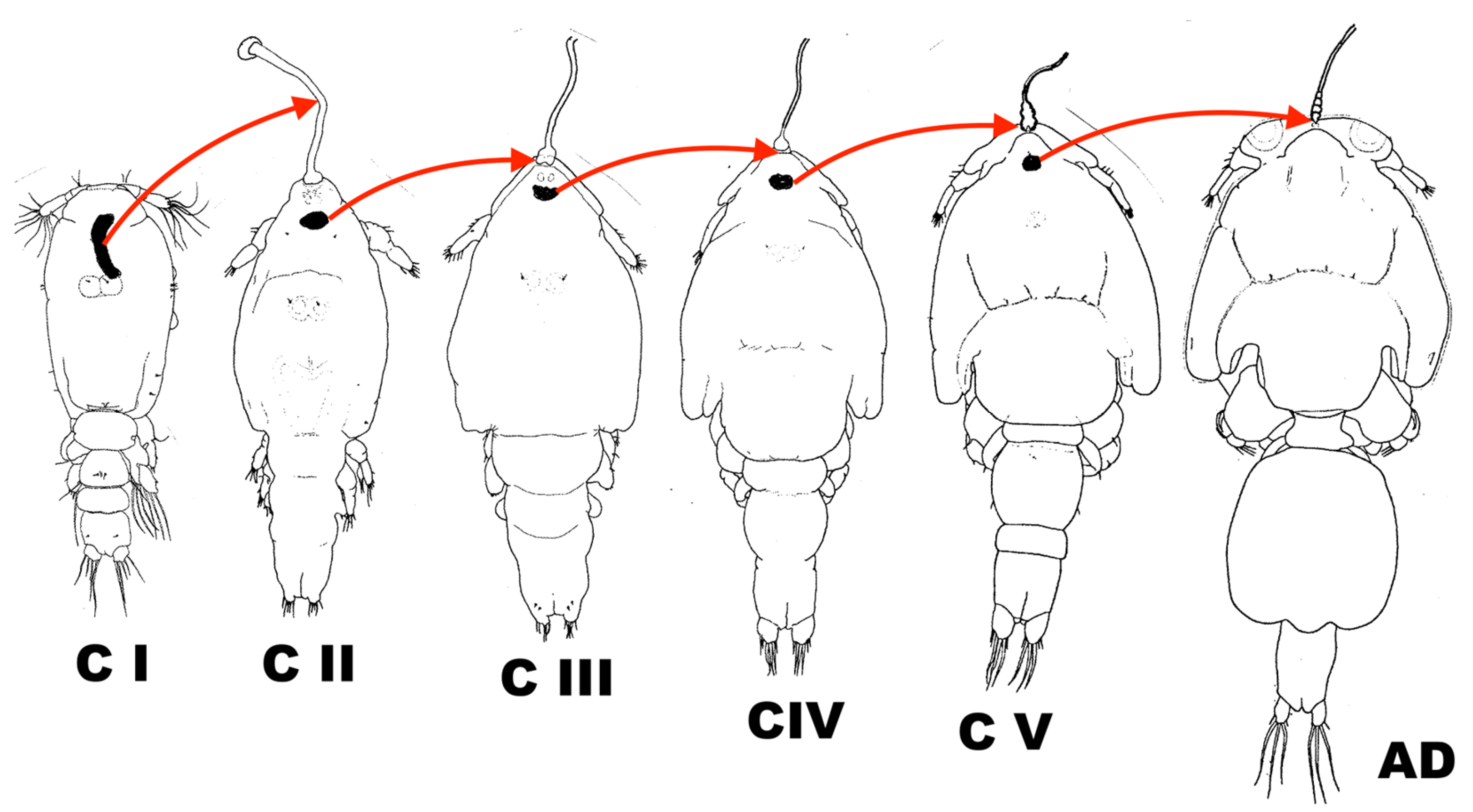 Pathogens 12 00460 g004