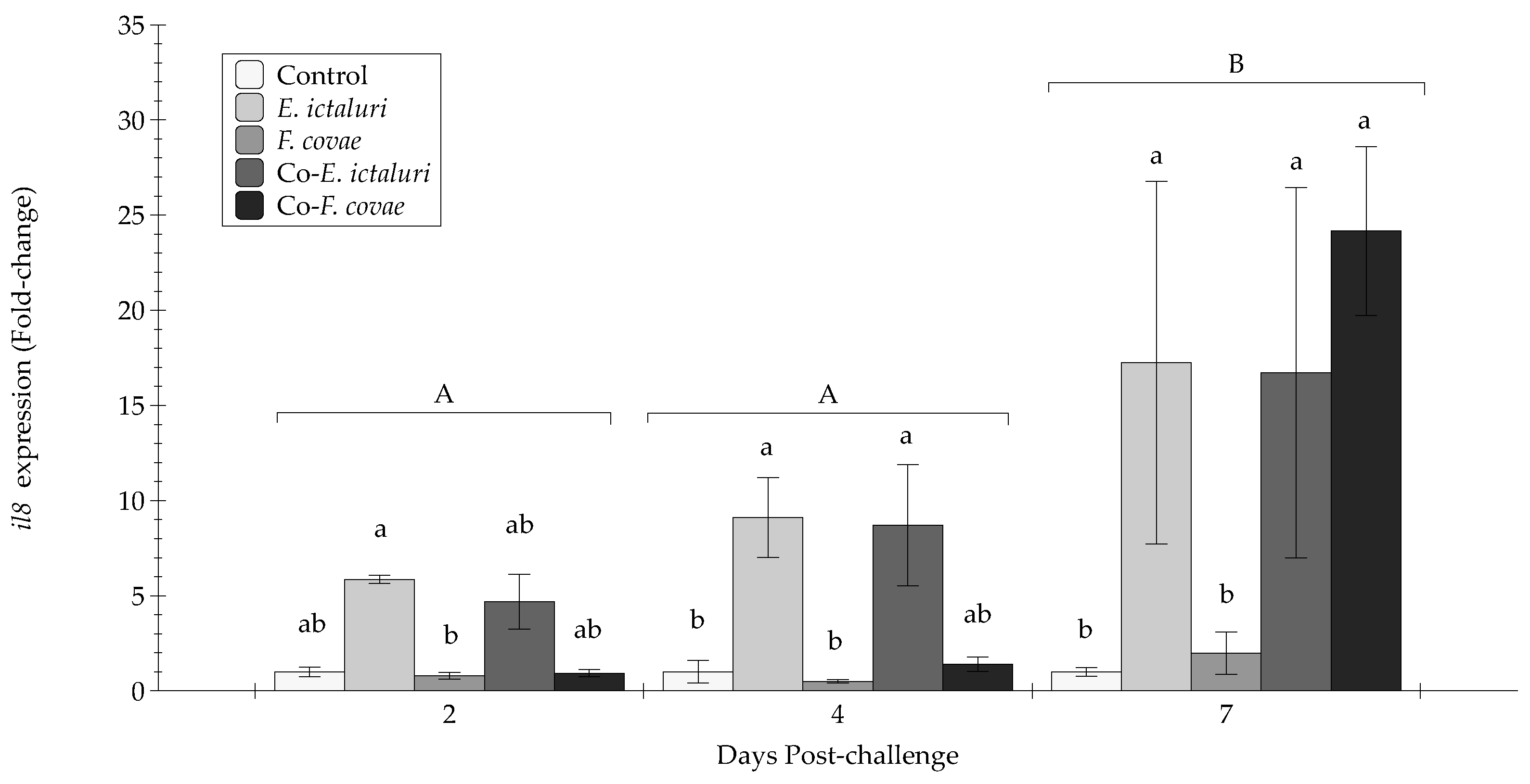 Pathogens 12 00462 g007