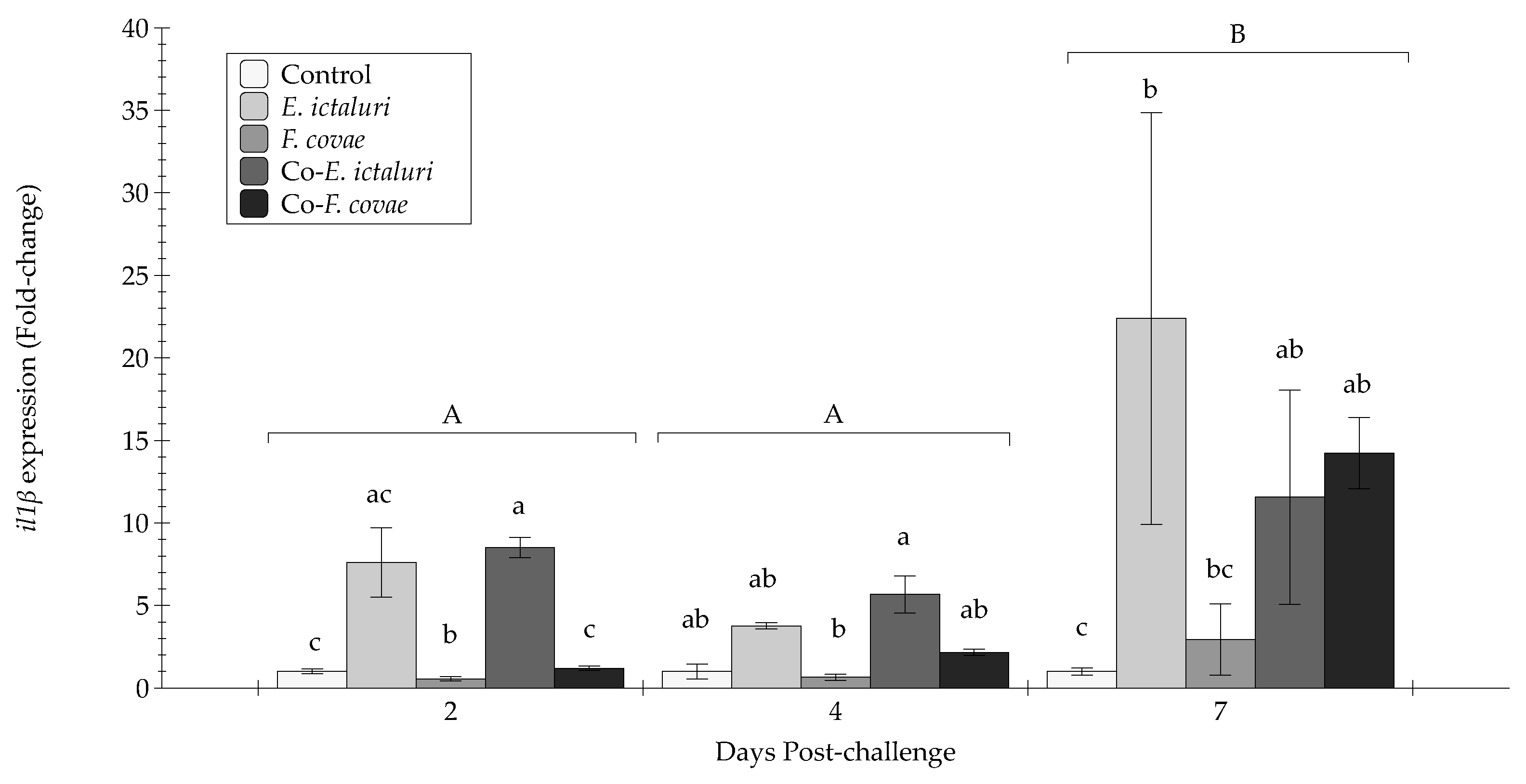 Pathogens 12 00462 g008