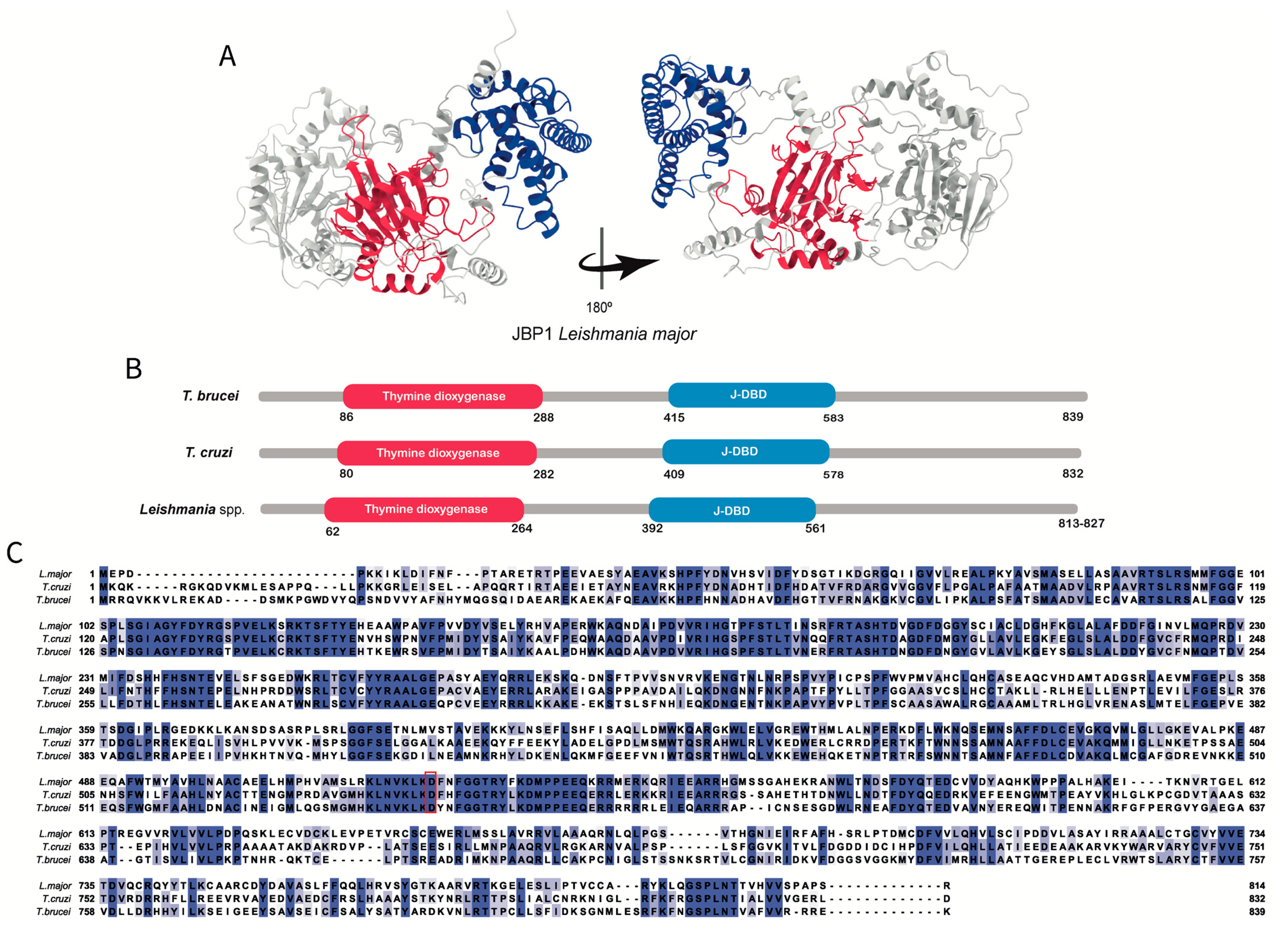 Pathogens 12 00467 g002