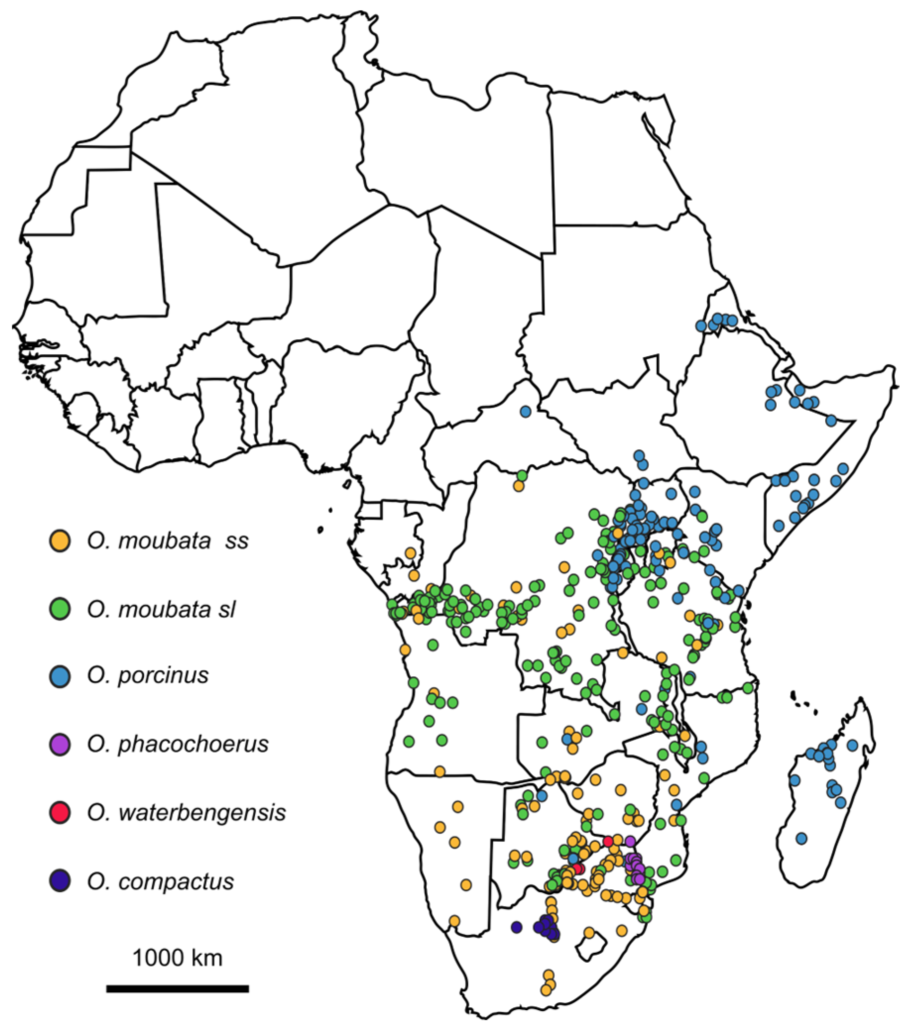 Pathogens 12 00469 g003 Pathogens 12 00469 g003