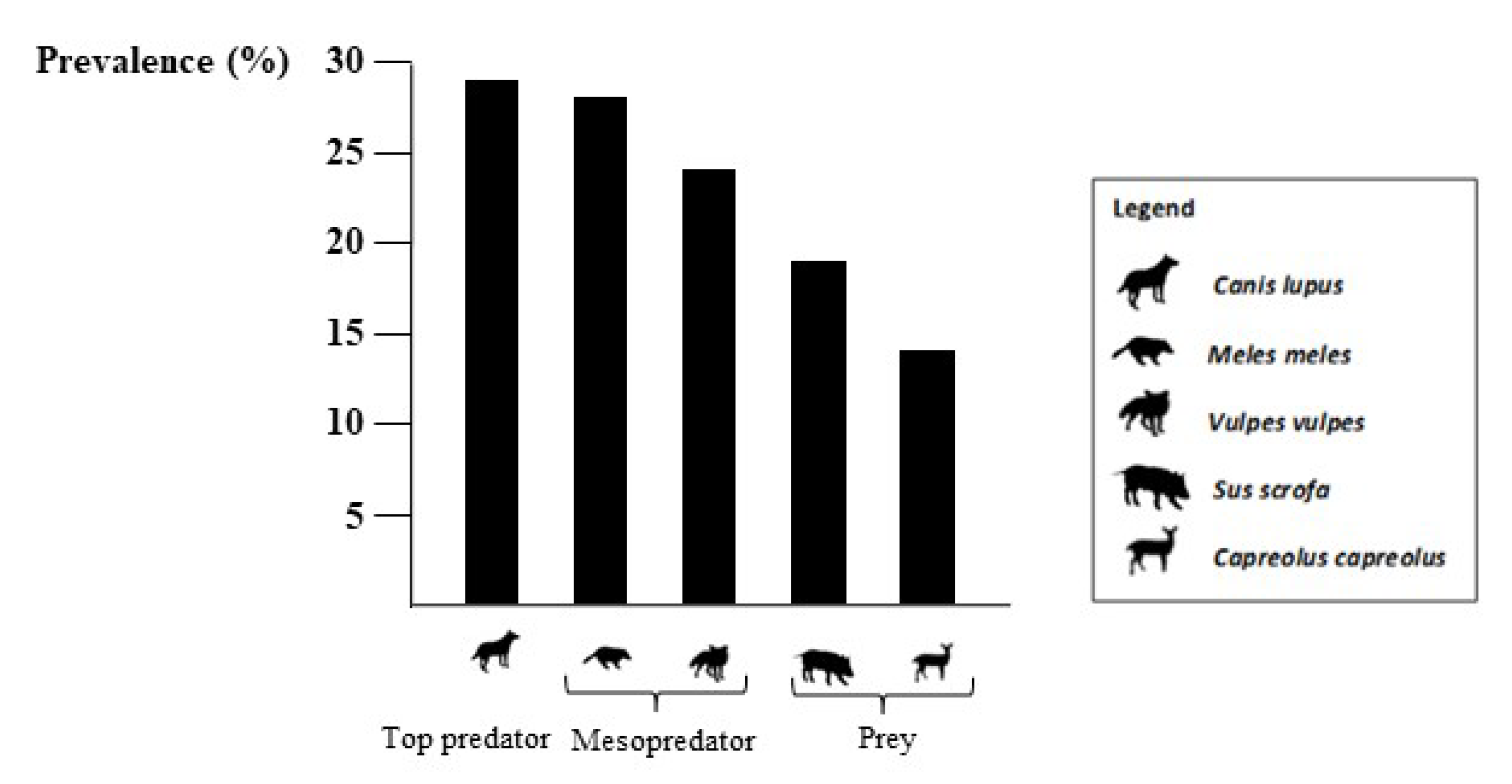 Pathogens 12 00471 g001