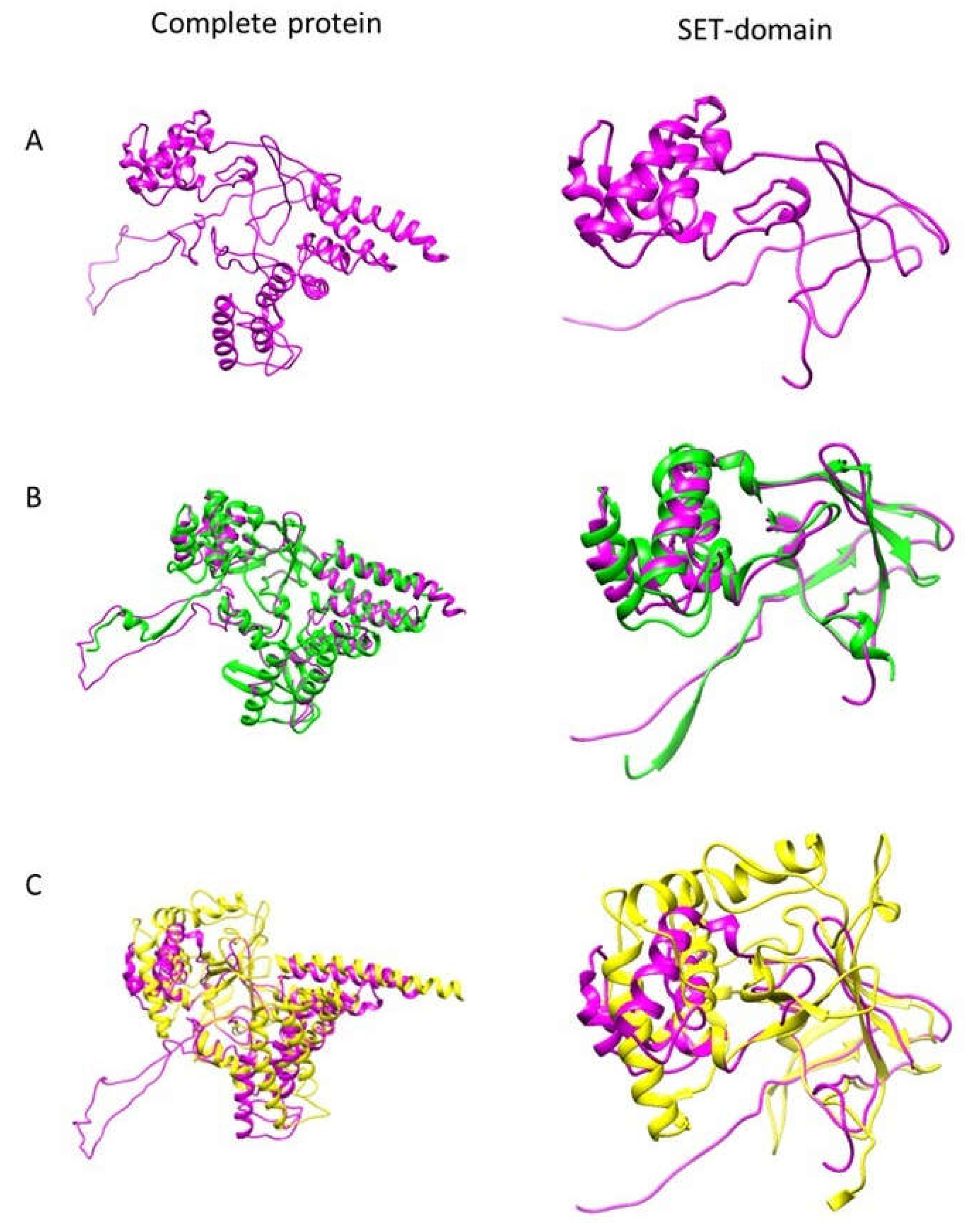 Pathogens 12 00474 g001 Pathogens 12 00474 g001