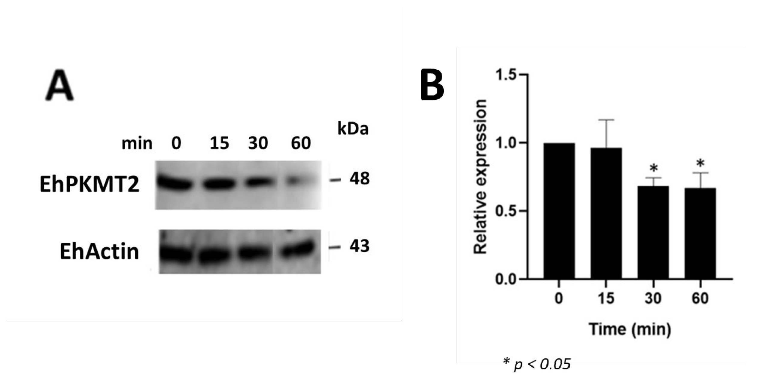 Pathogens 12 00474 g002 Pathogens 12 00474 g002