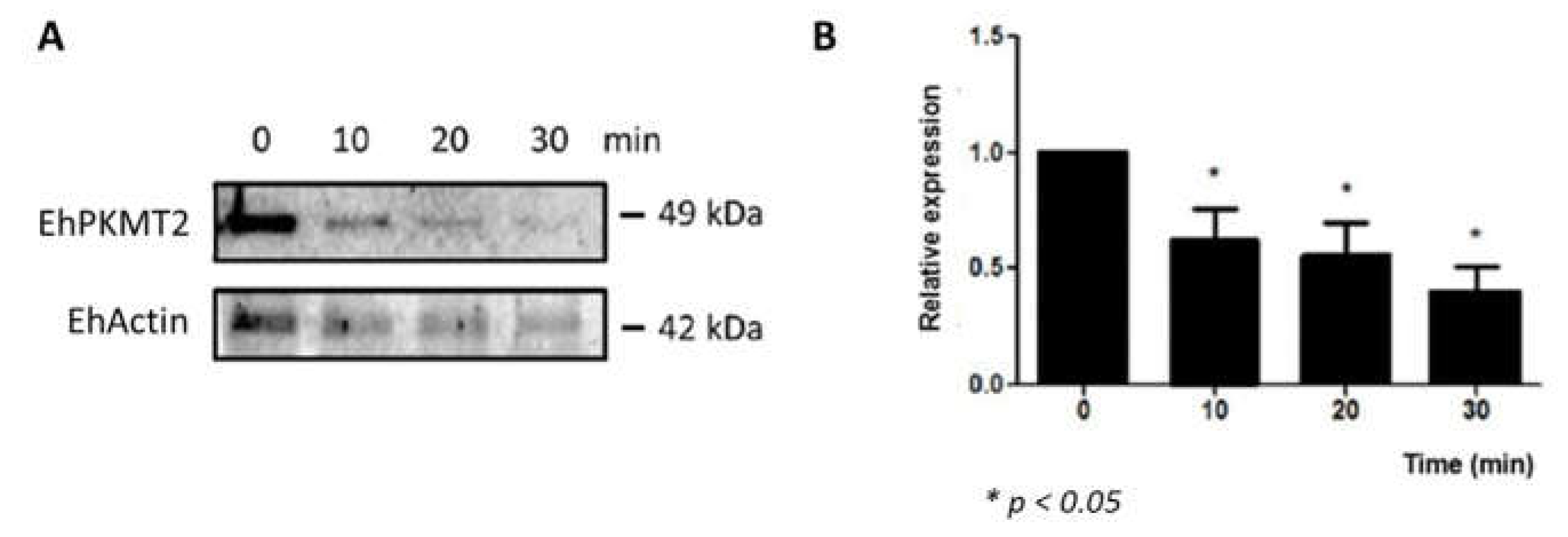 Pathogens 12 00474 g004 Pathogens 12 00474 g004
