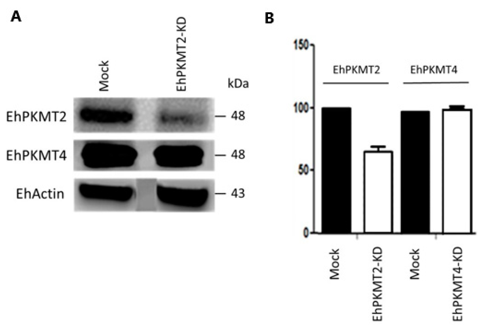 Pathogens 12 00474 g006 Pathogens 12 00474 g006