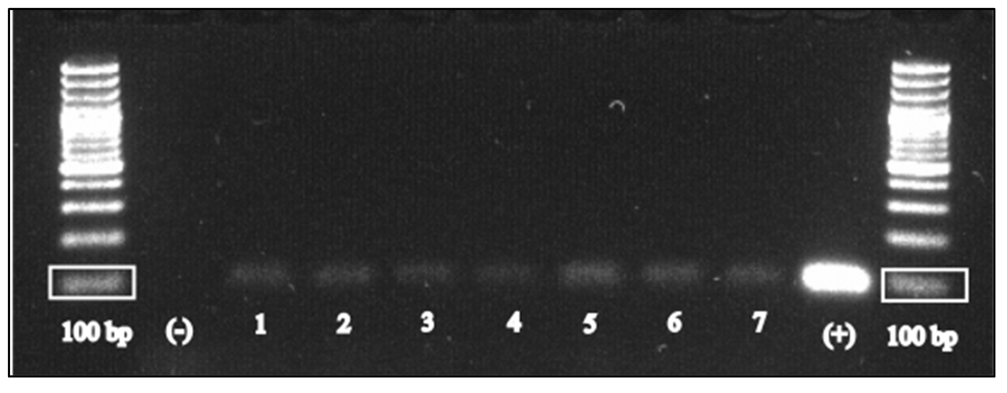 Pathogens 12 00478 g002 Pathogens 12 00478 g002