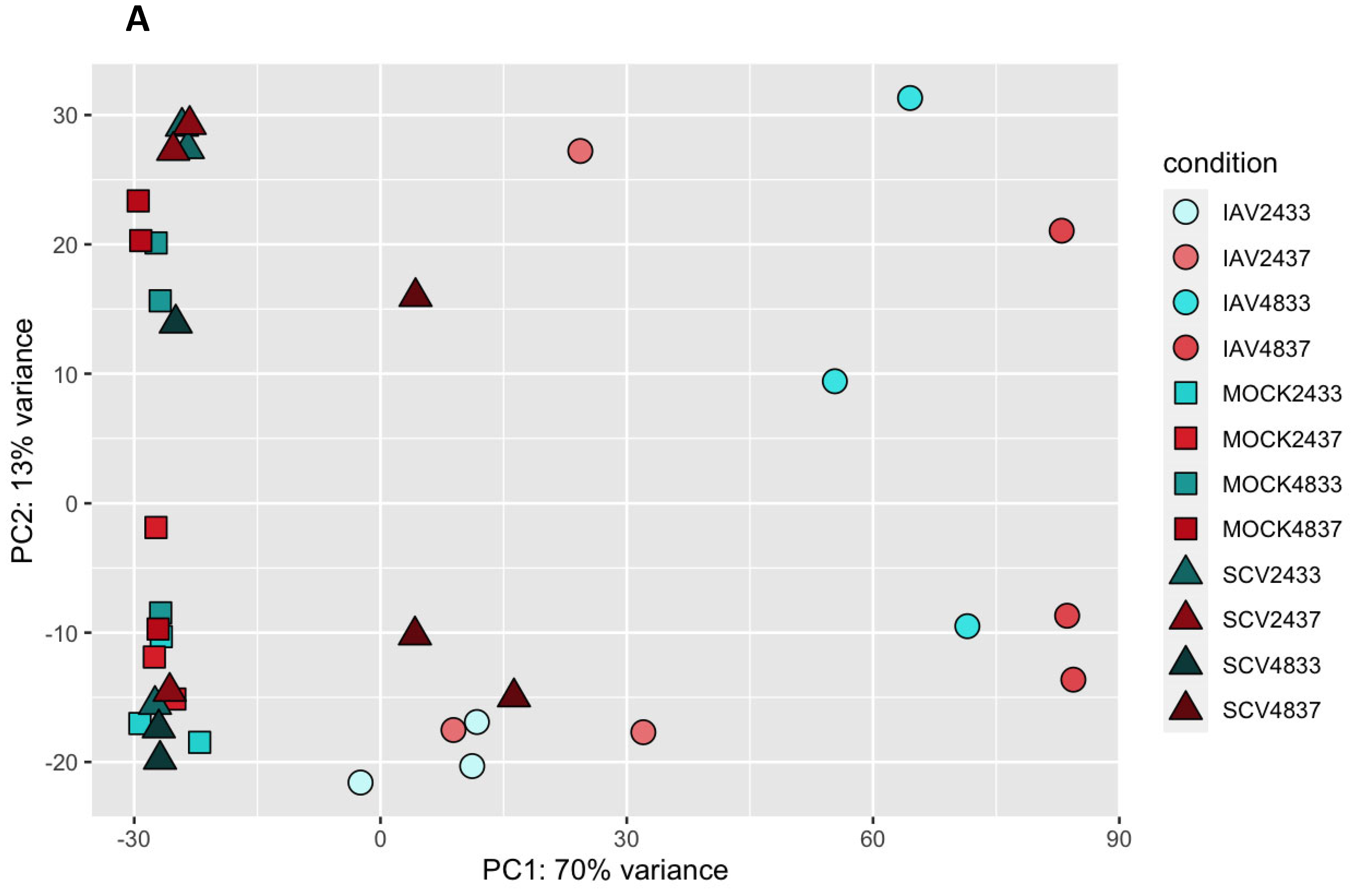 Pathogens 12 00480 g005a Pathogens 12 00480 g005a