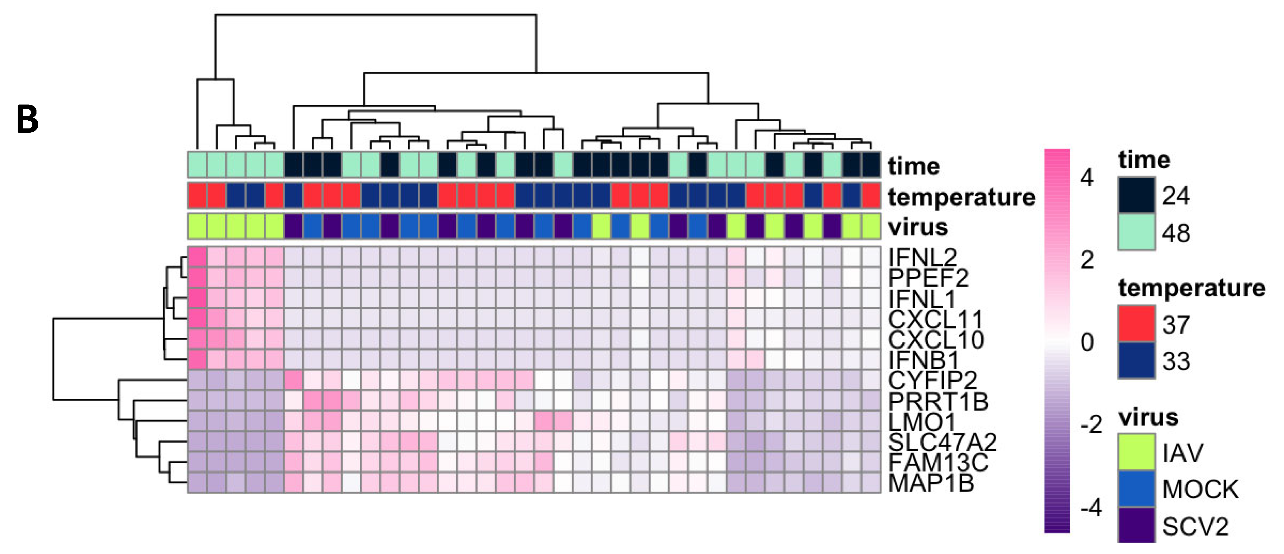 Pathogens 12 00480 g005b Pathogens 12 00480 g005b