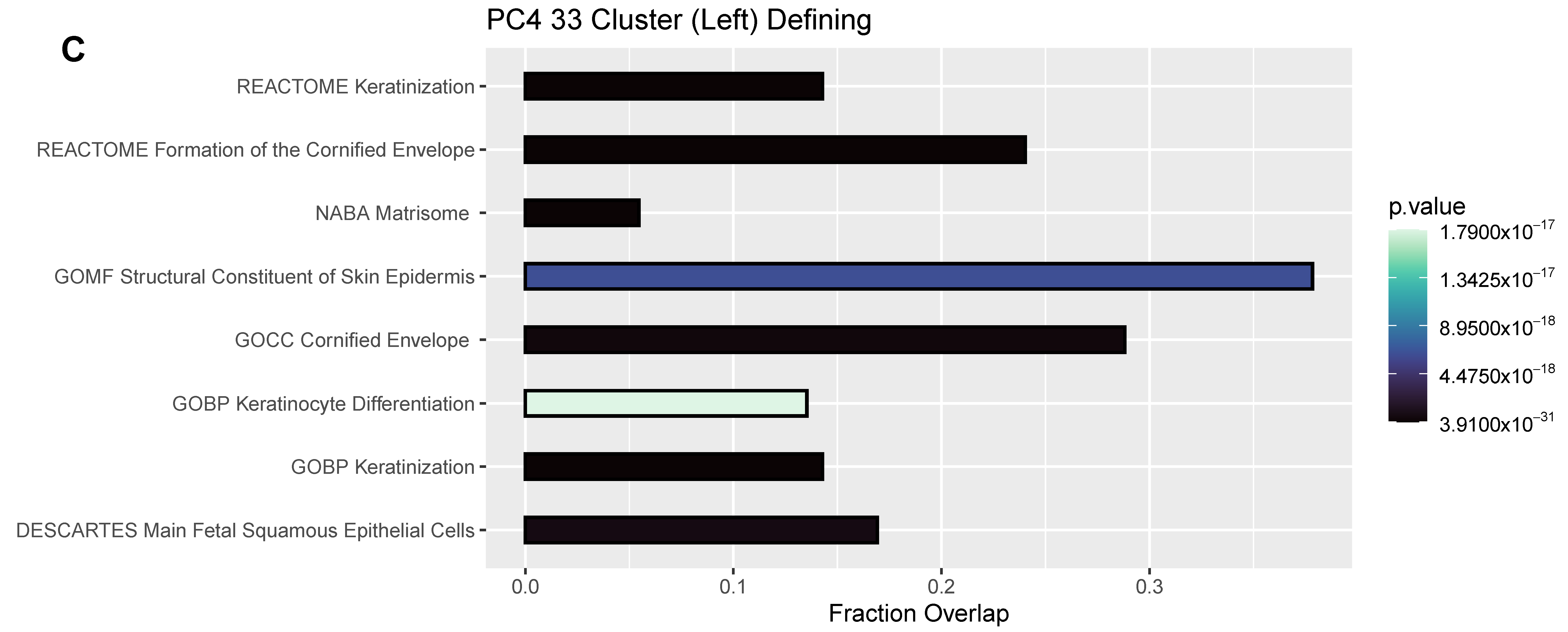 Pathogens 12 00480 g006c Pathogens 12 00480 g006c