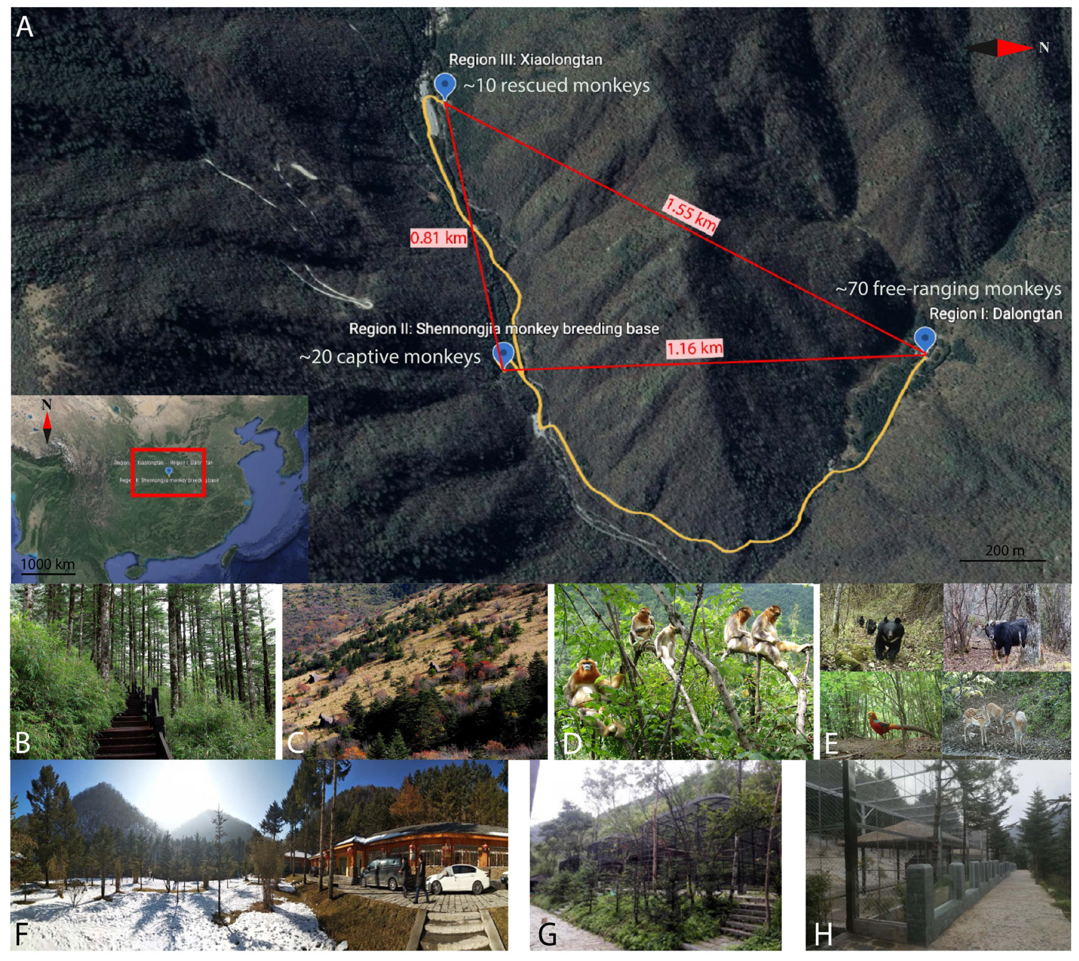 Pathogens 12 00483 g001 Pathogens 12 00483 g001