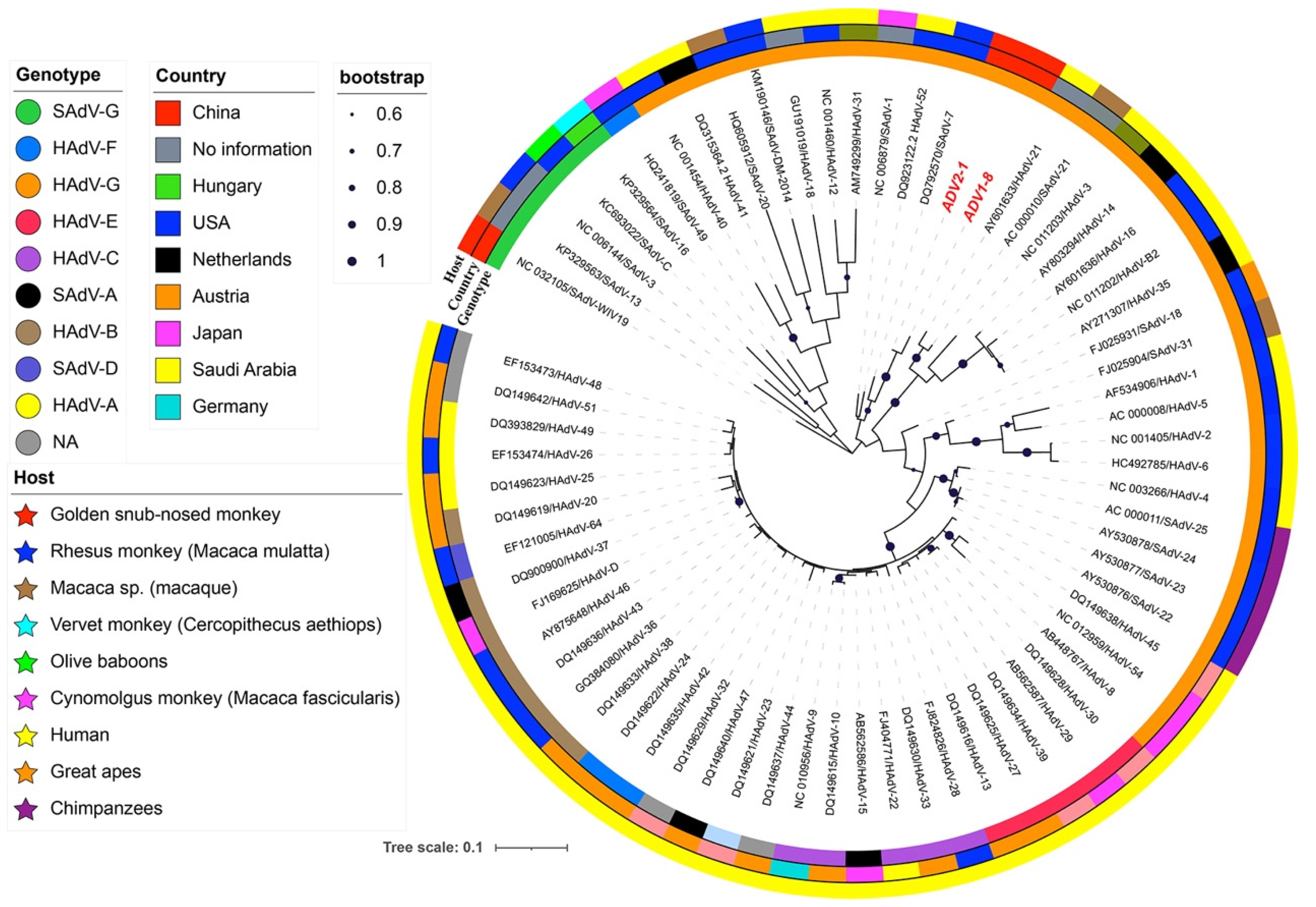 Pathogens 12 00483 g002 Pathogens 12 00483 g002