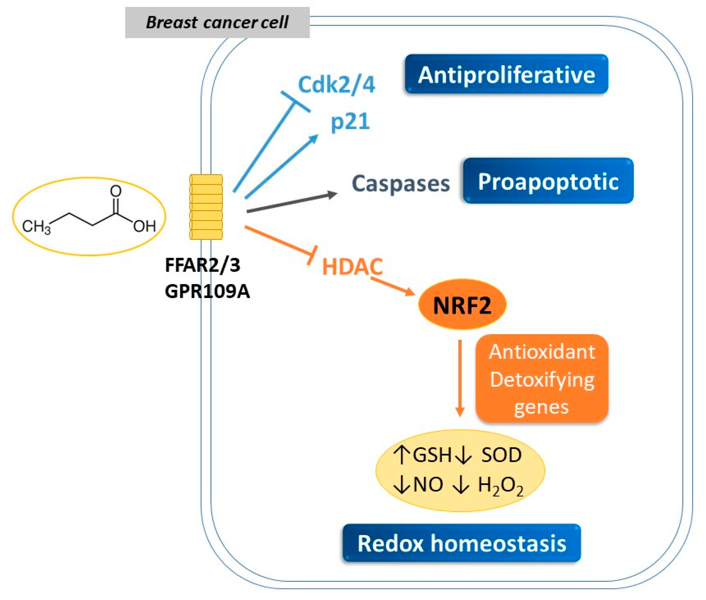 Pathogens 12 00486 g001 Pathogens 12 00486 g001