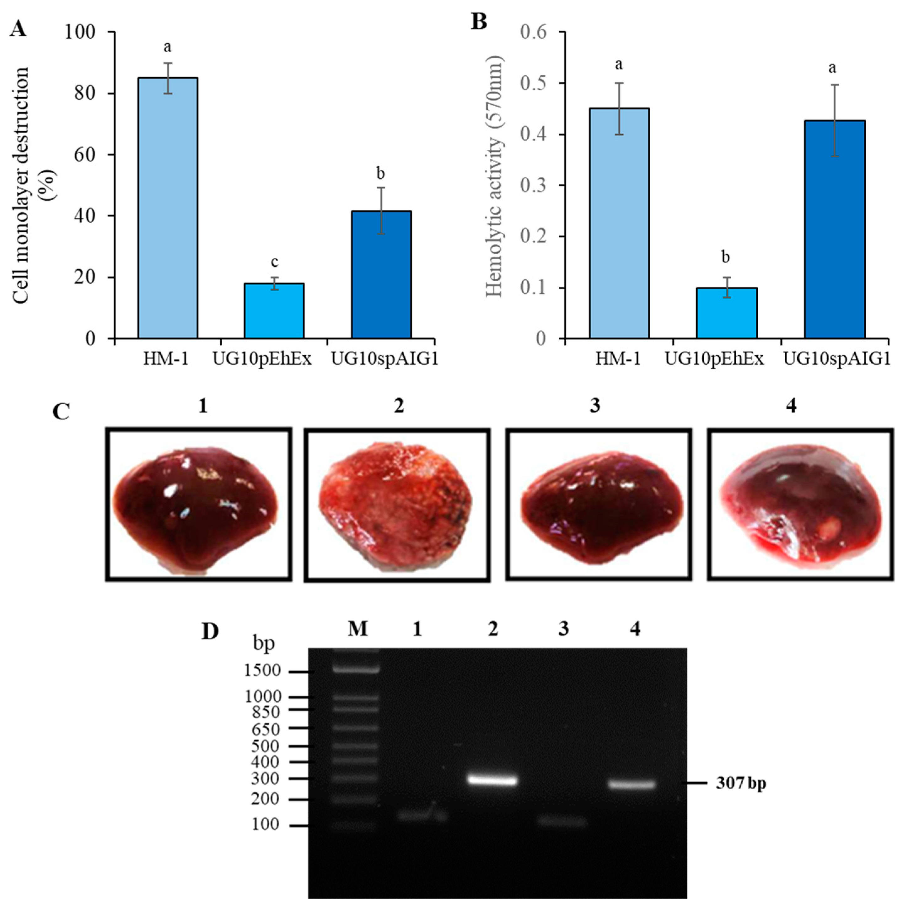 Pathogens 12 00489 g003