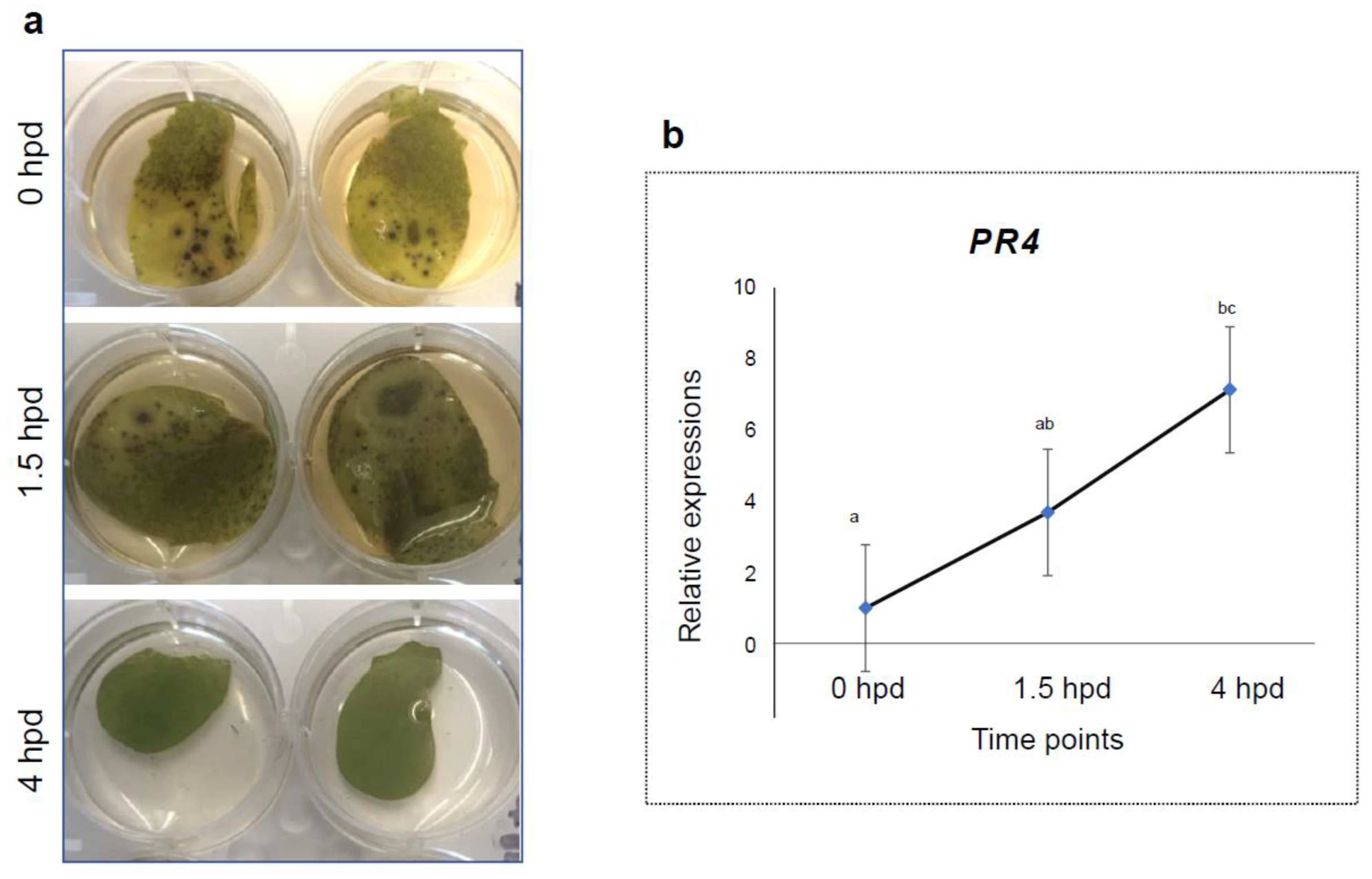 Pathogens 12 00494 g003