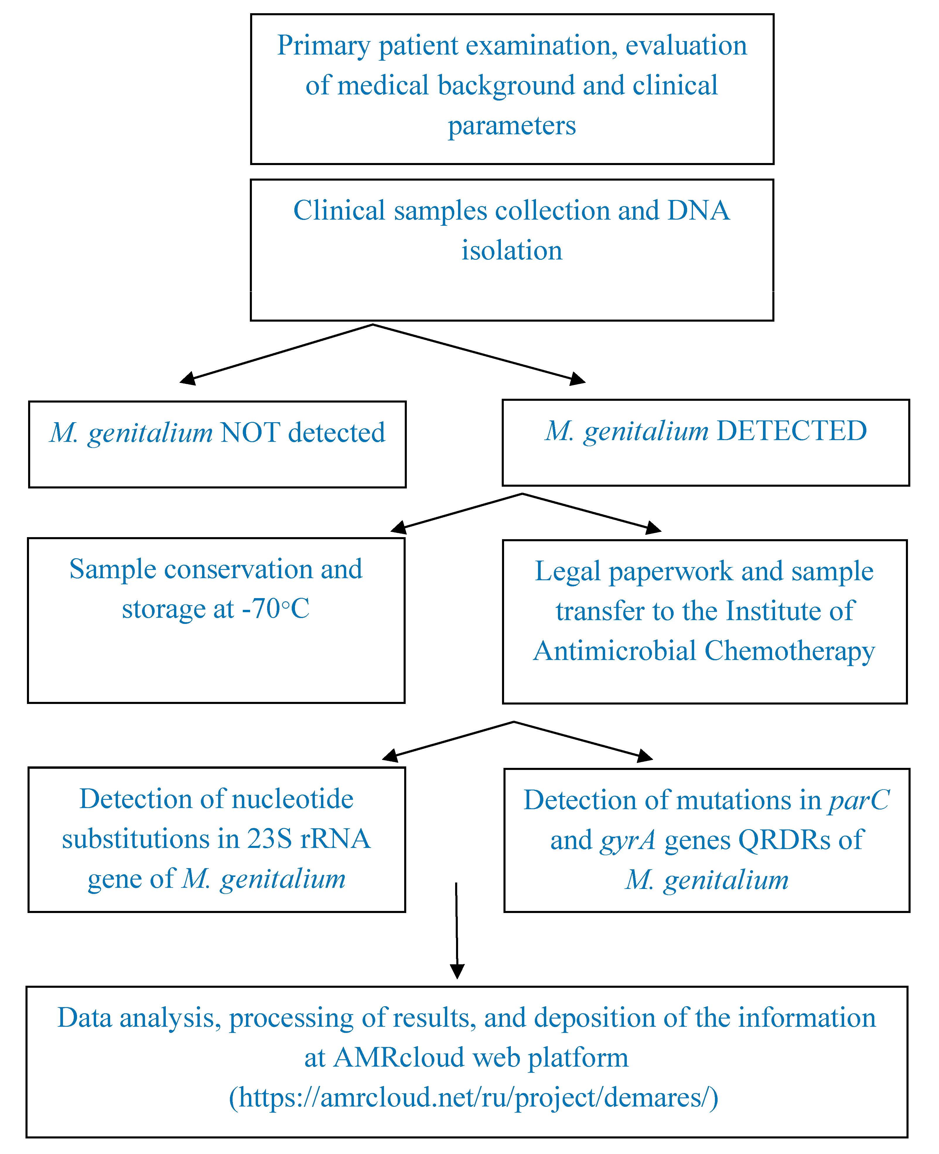Pathogens 12 00496 g001