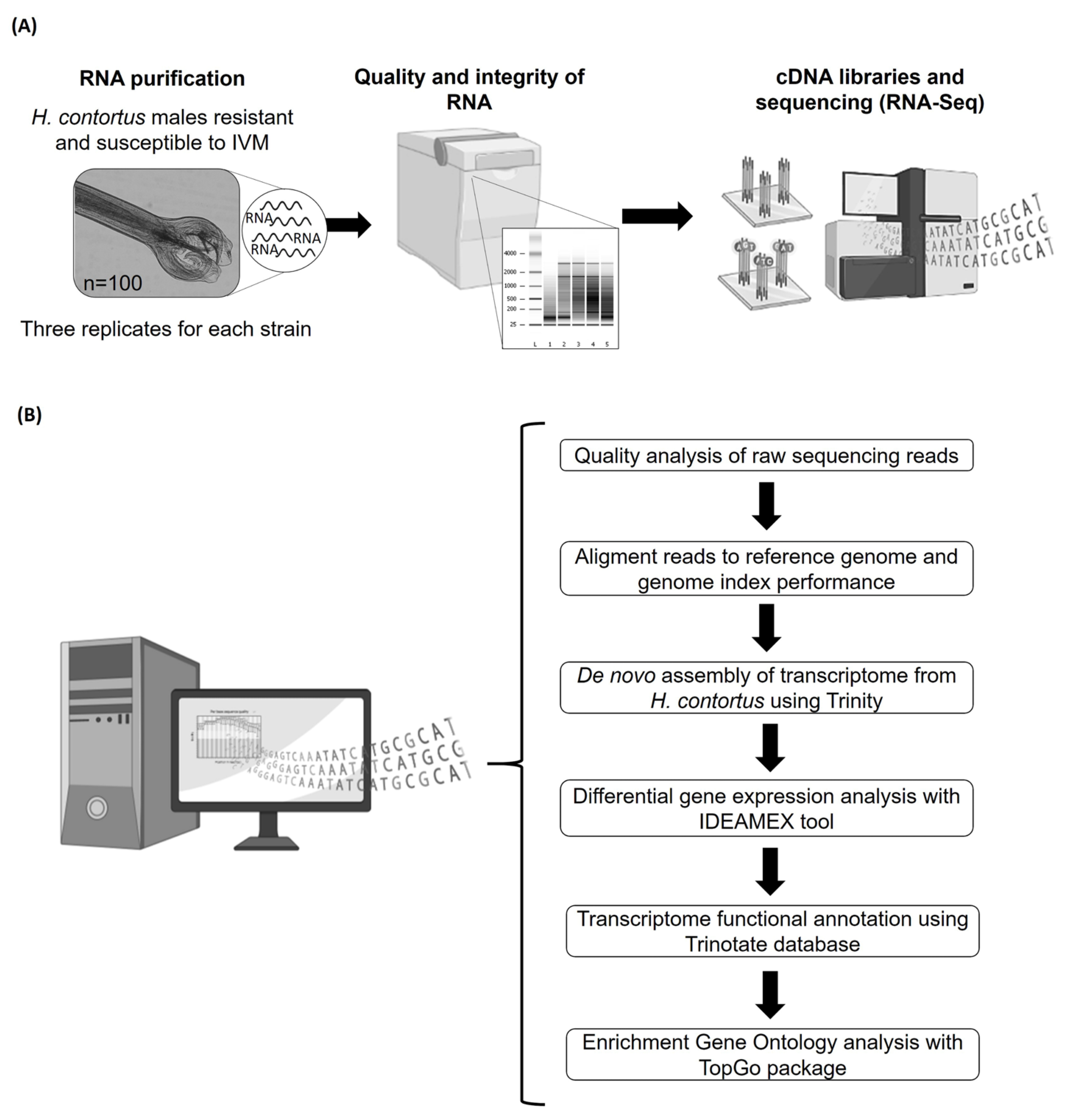 Pathogens 12 00499 g001 Pathogens 12 00499 g001