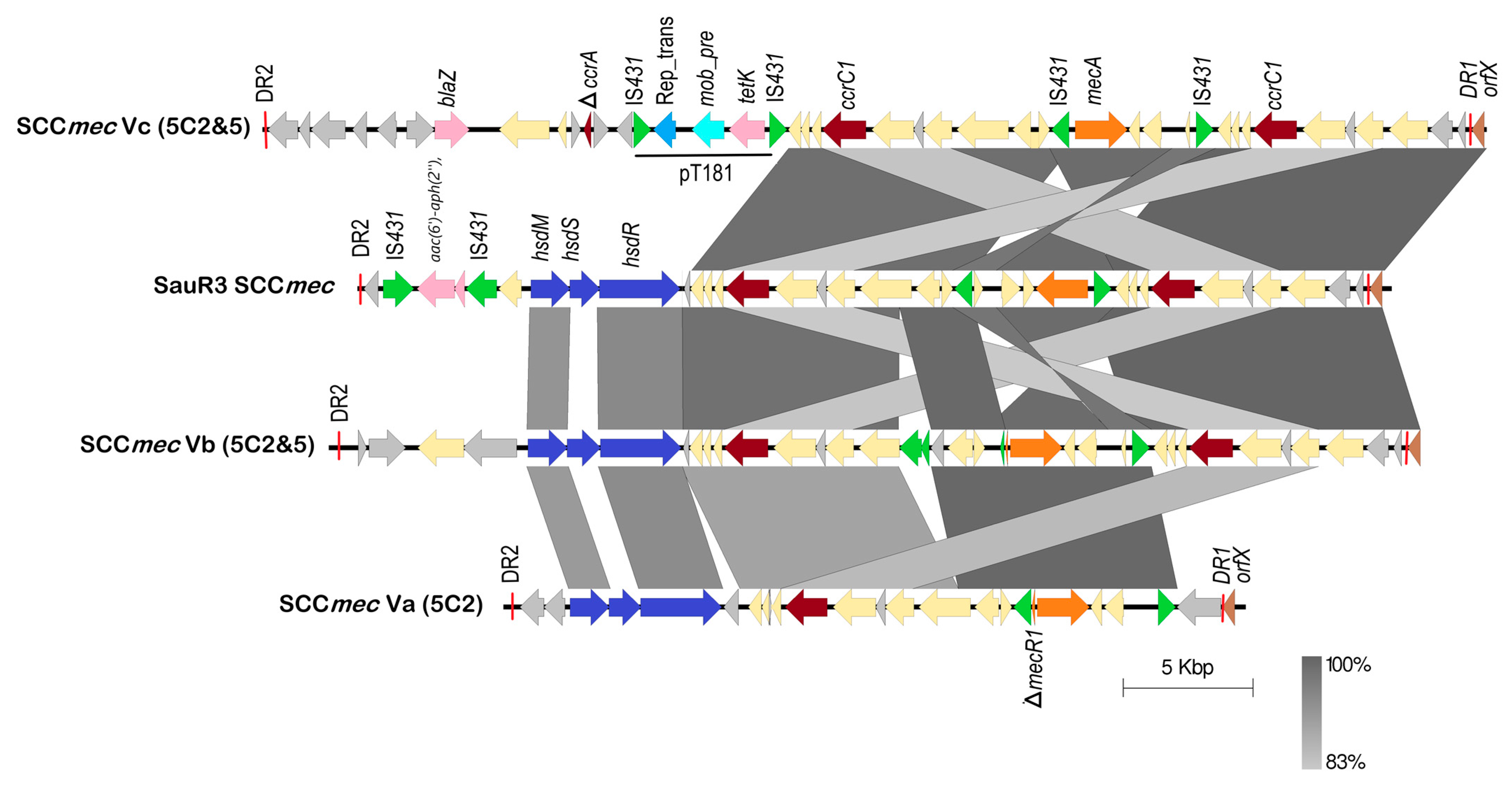 Pathogens 12 00502 g003