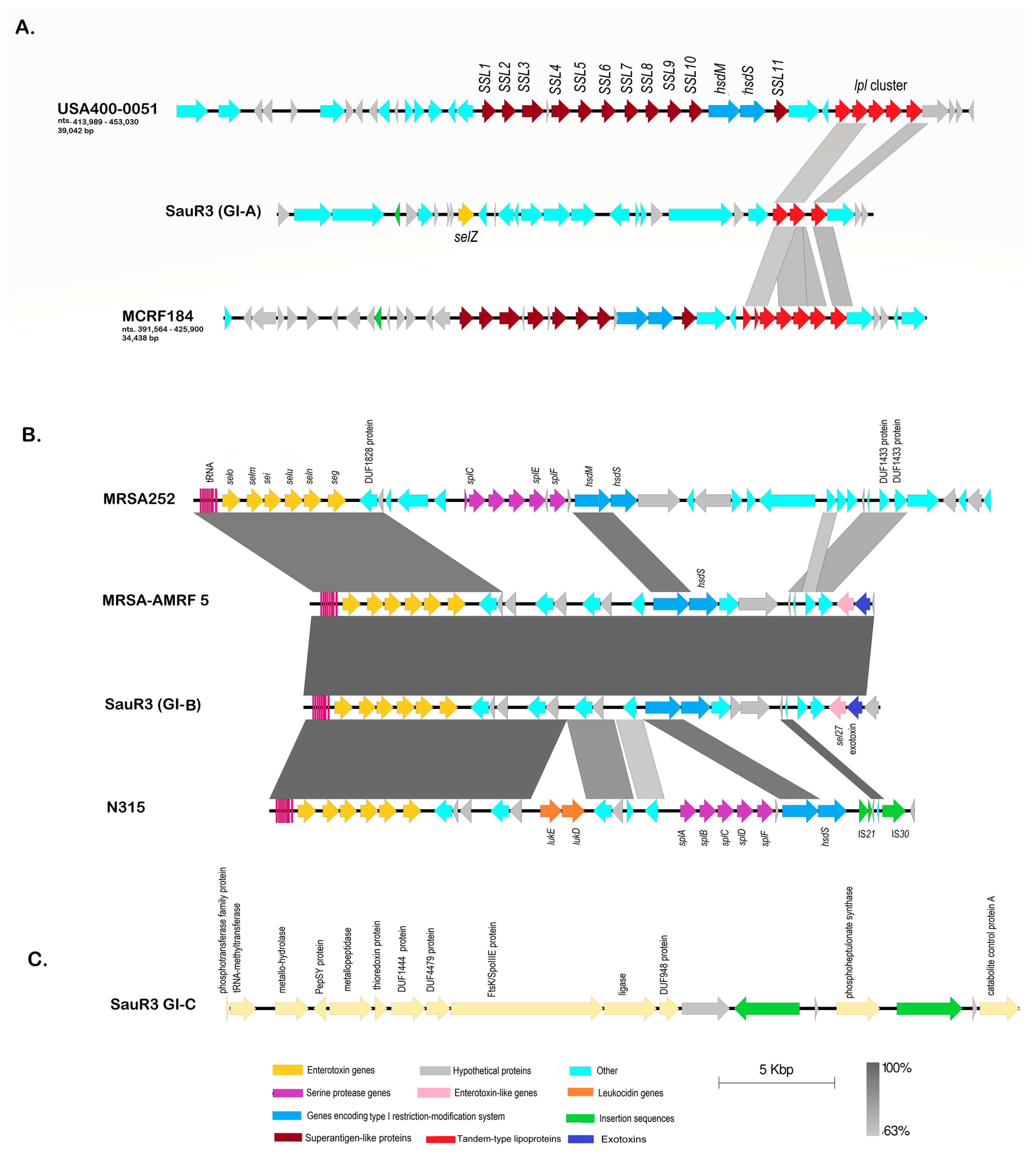 Pathogens 12 00502 g004