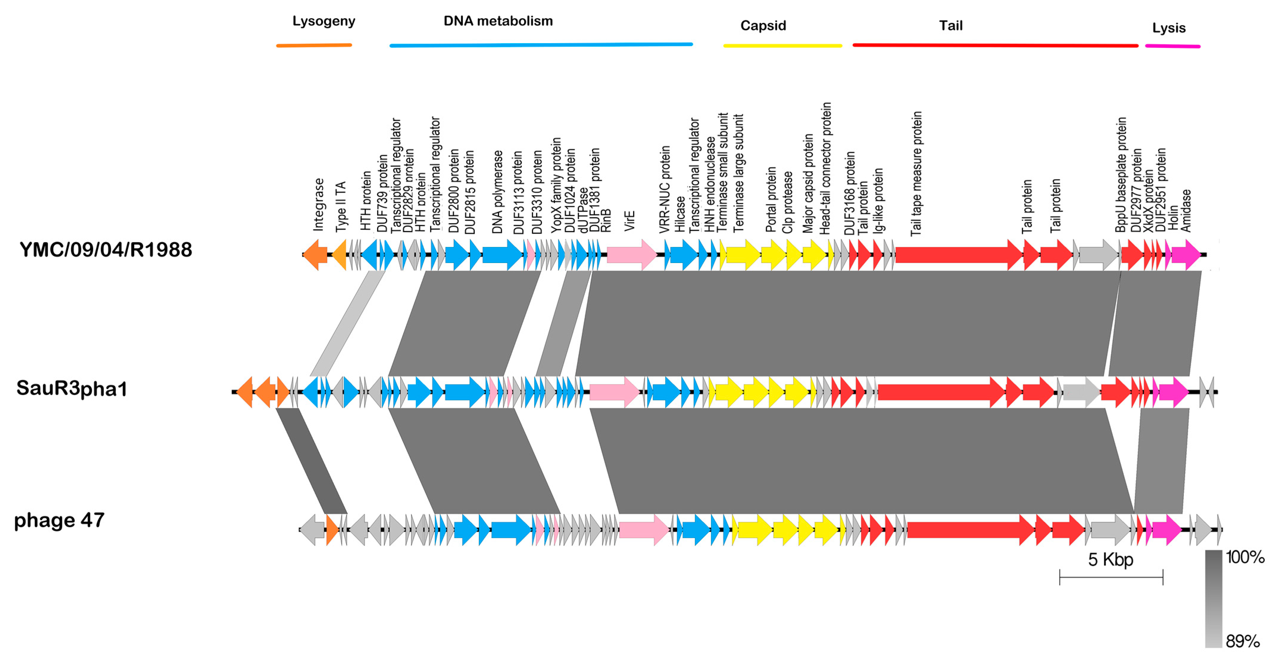 Pathogens 12 00502 g005