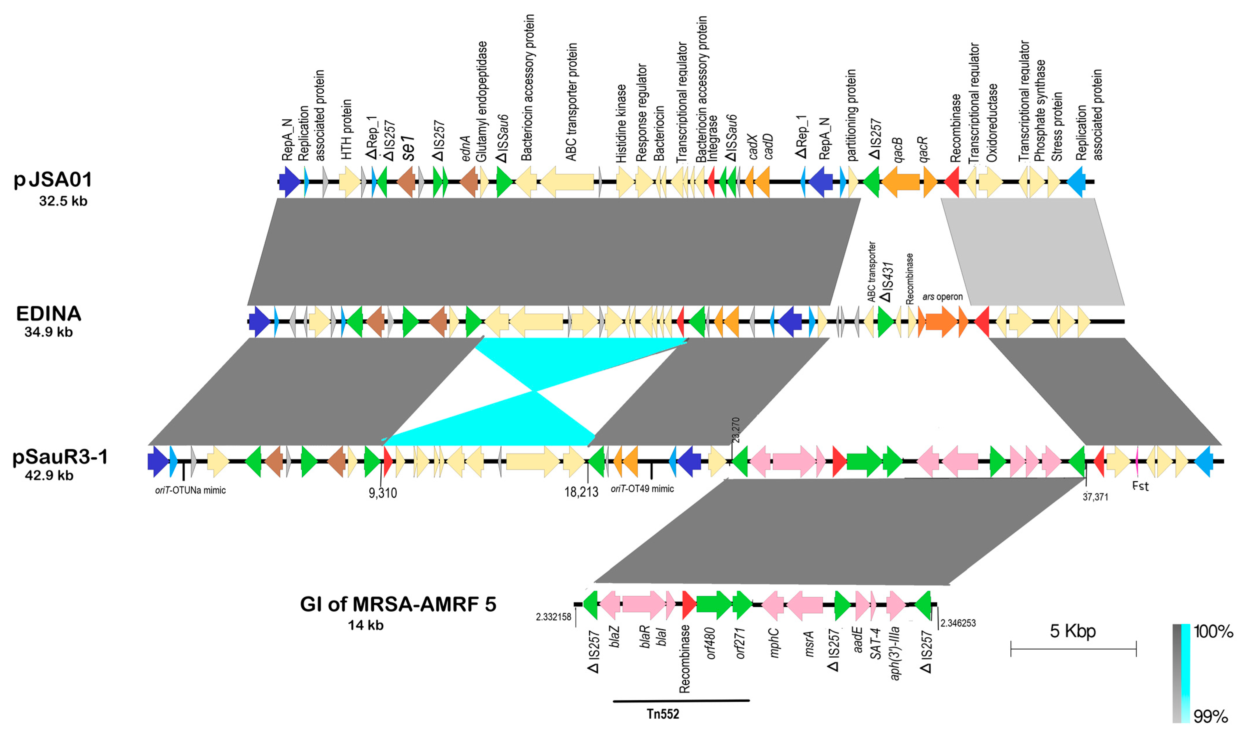 Pathogens 12 00502 g006