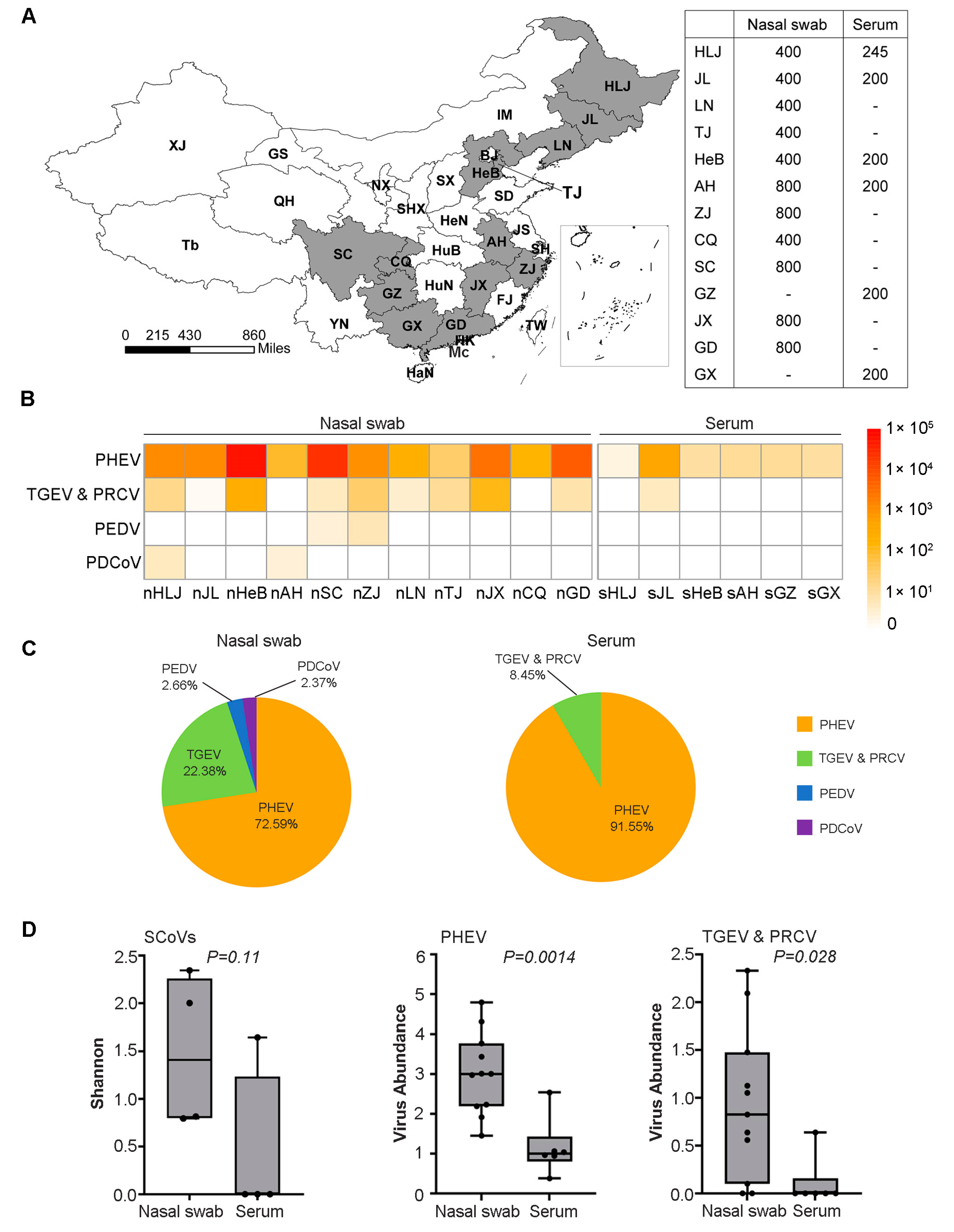 A collection of bacterial isolates from the pig intestine reveals