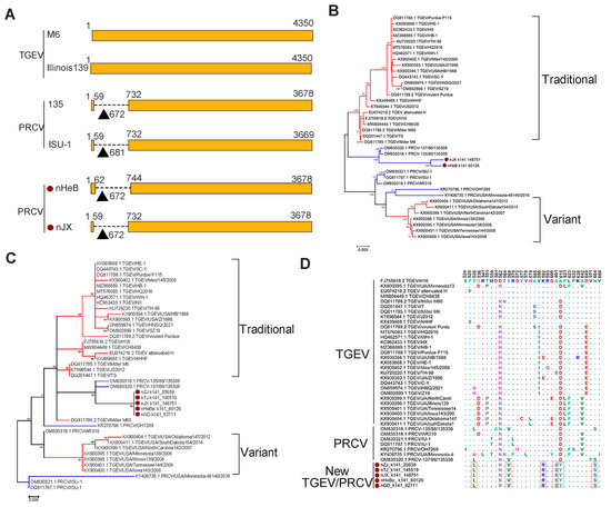 Metavirome Analysis Reveals a High Prevalence of Porcine