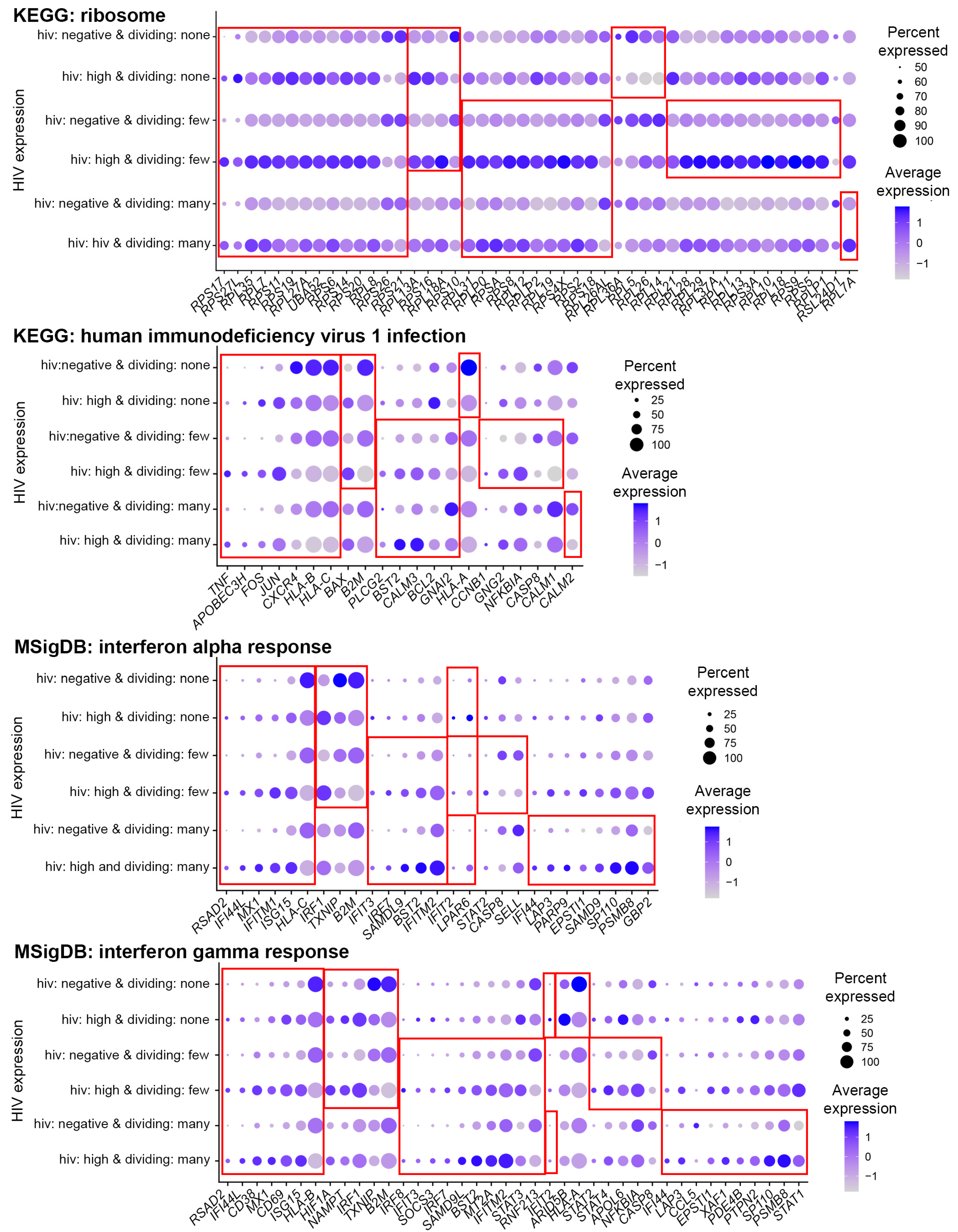 Pathogens 12 00511 g004 Pathogens 12 00511 g004