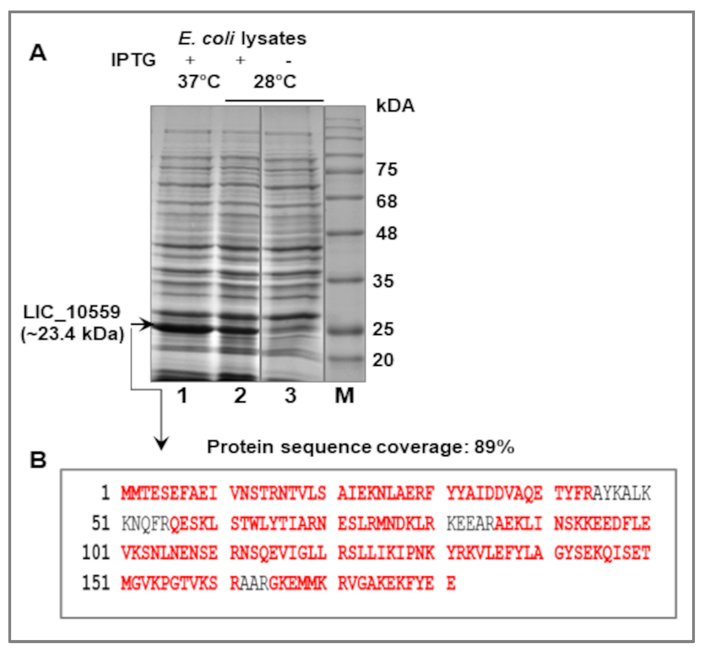 Pathogens 12 00512 g002
