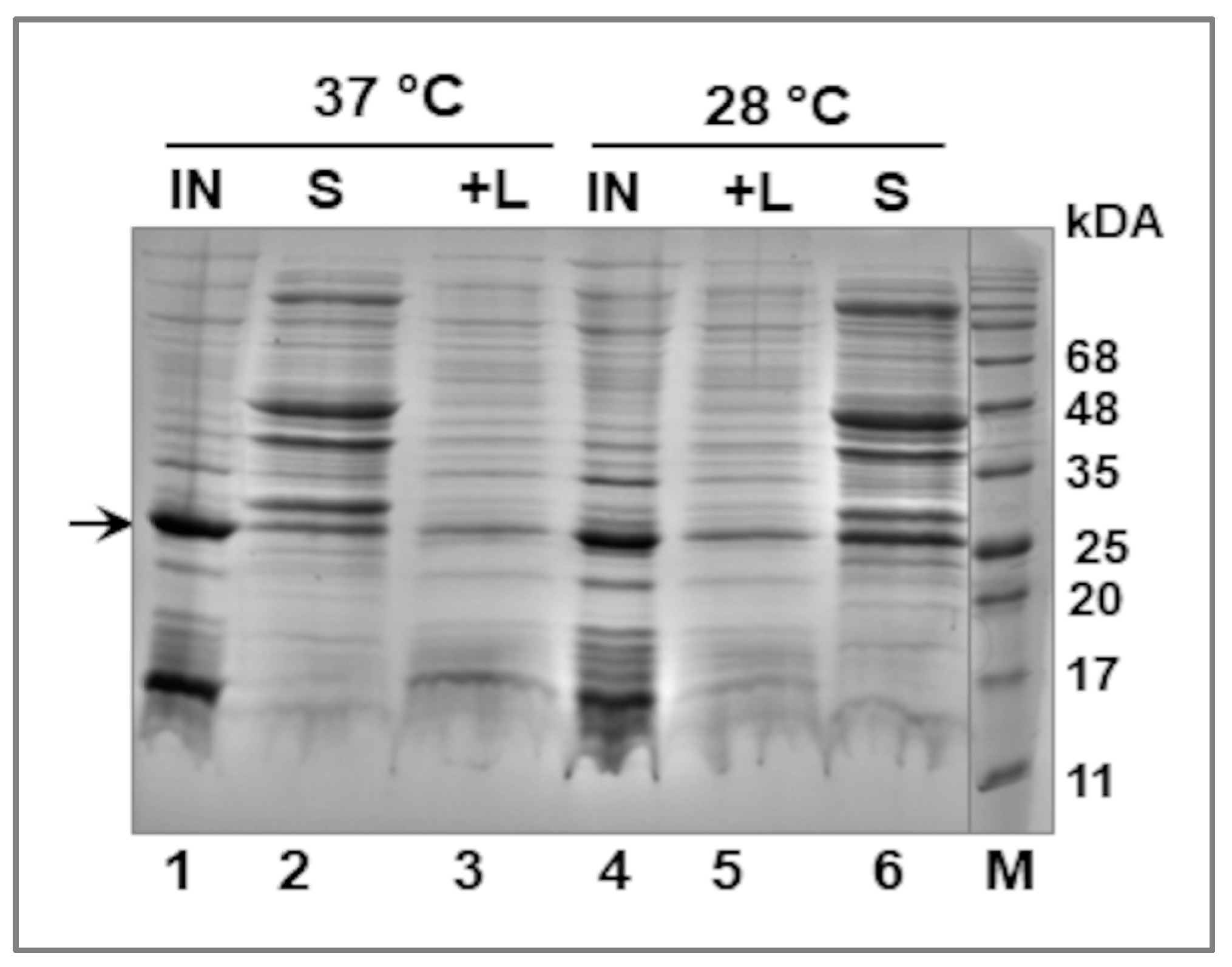 Pathogens 12 00512 g003