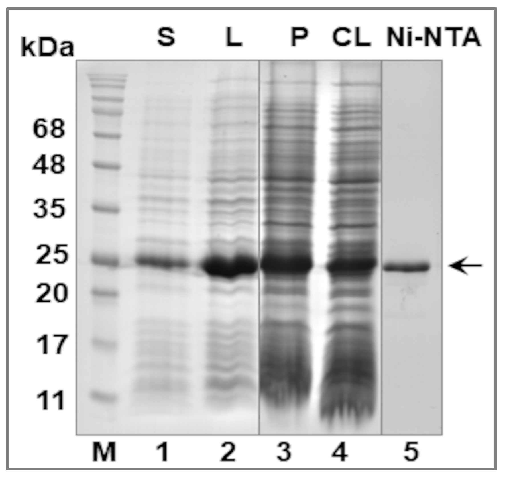 Pathogens 12 00512 g004