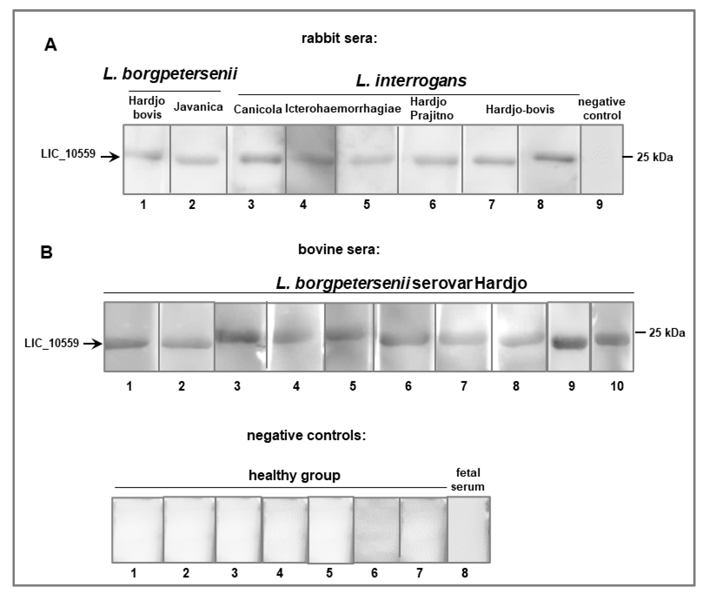 Pathogens 12 00512 g005
