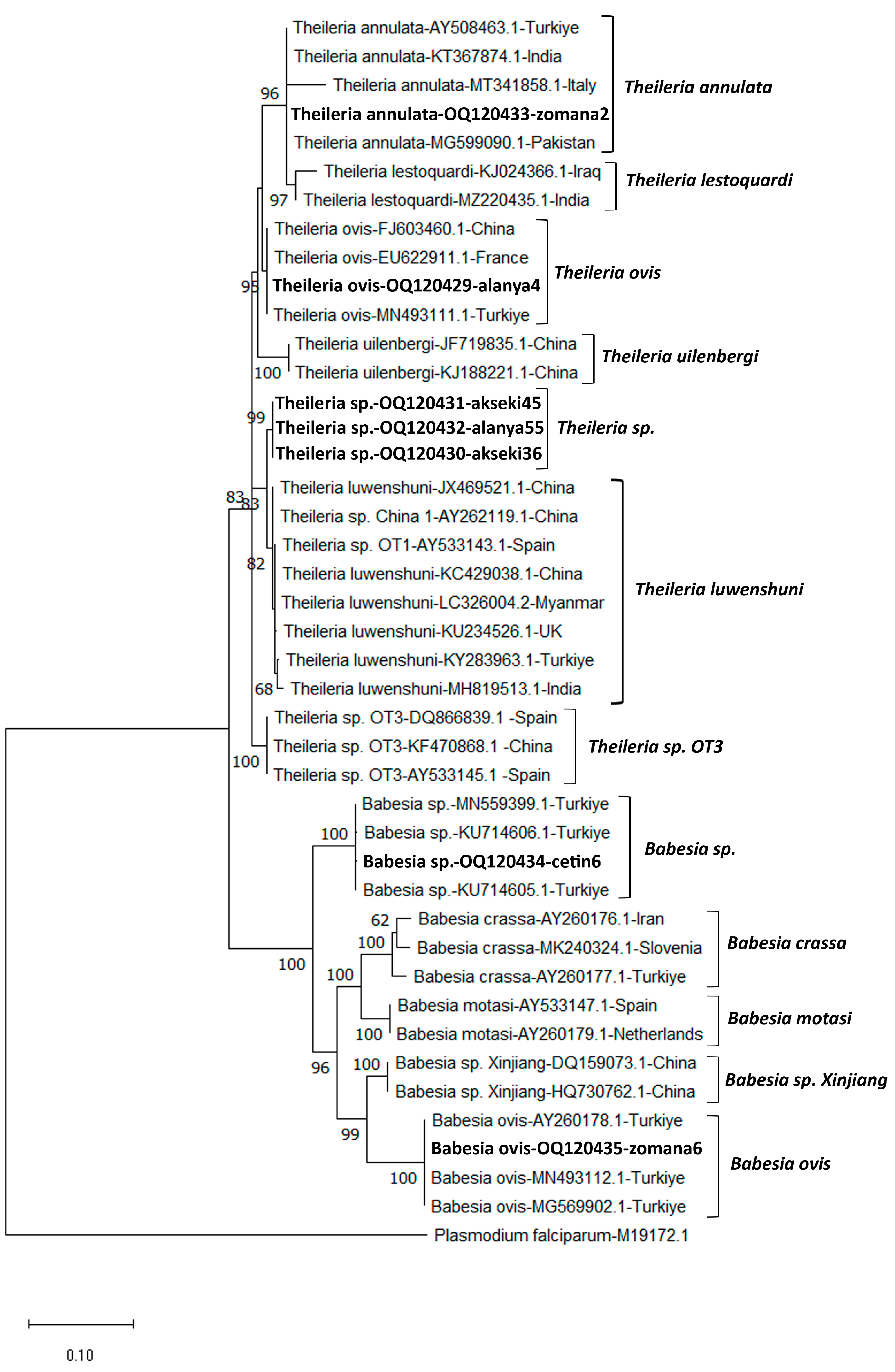 Pathogens 12 00514 g002 Pathogens 12 00514 g002