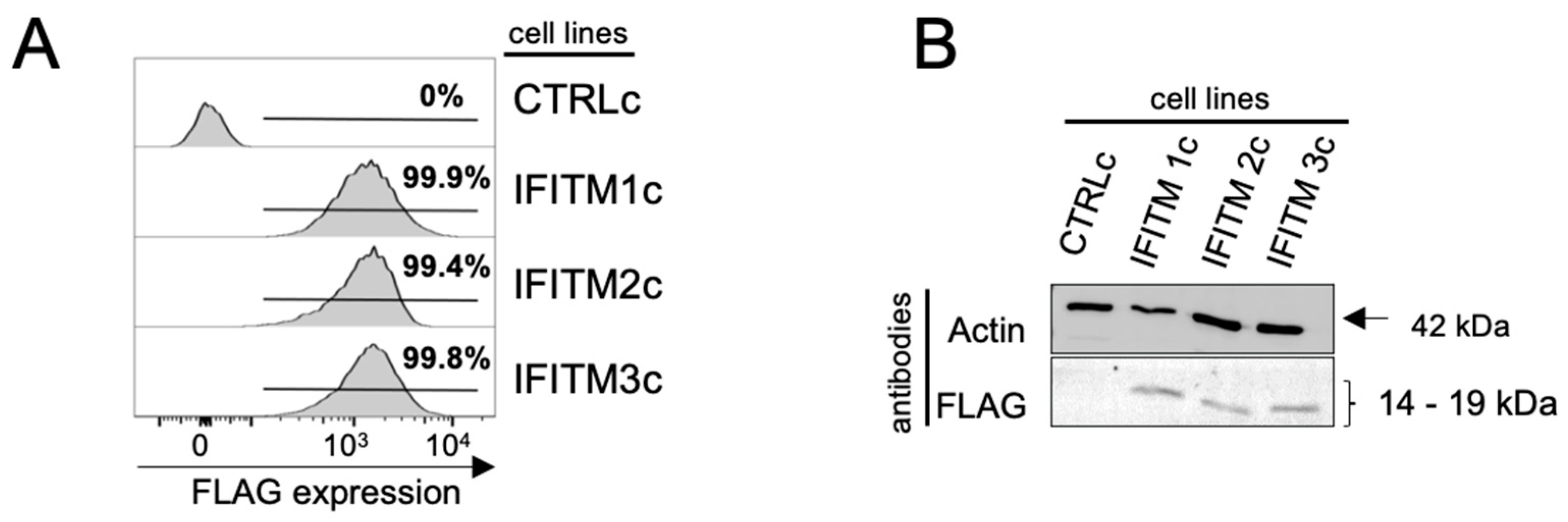 Pathogens 12 00519 g001