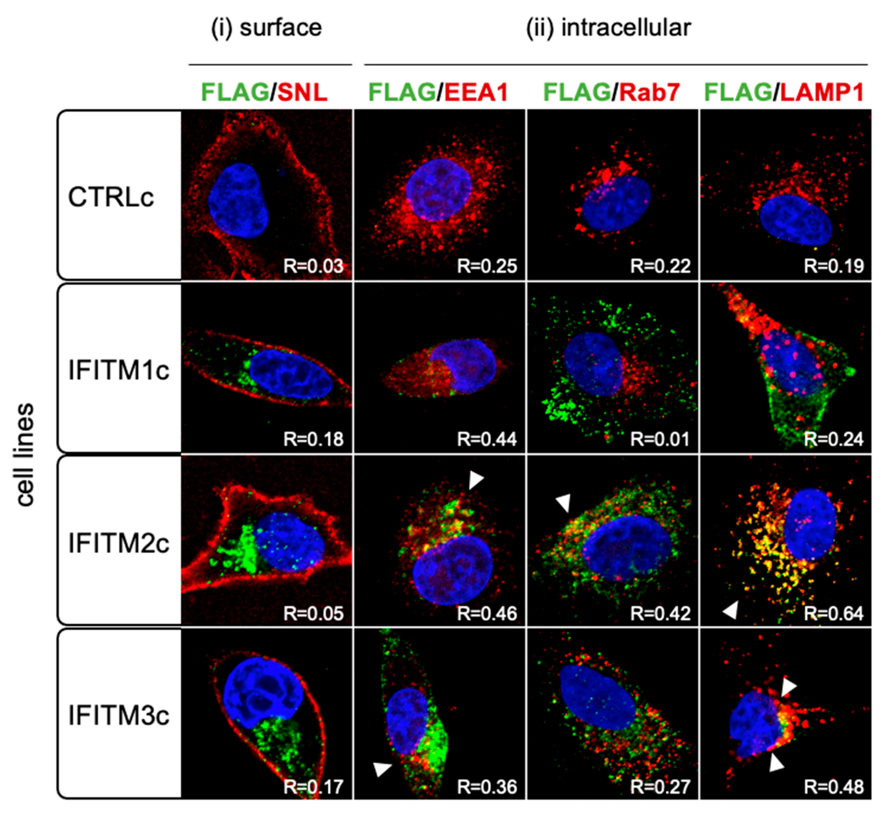 Pathogens 12 00519 g004