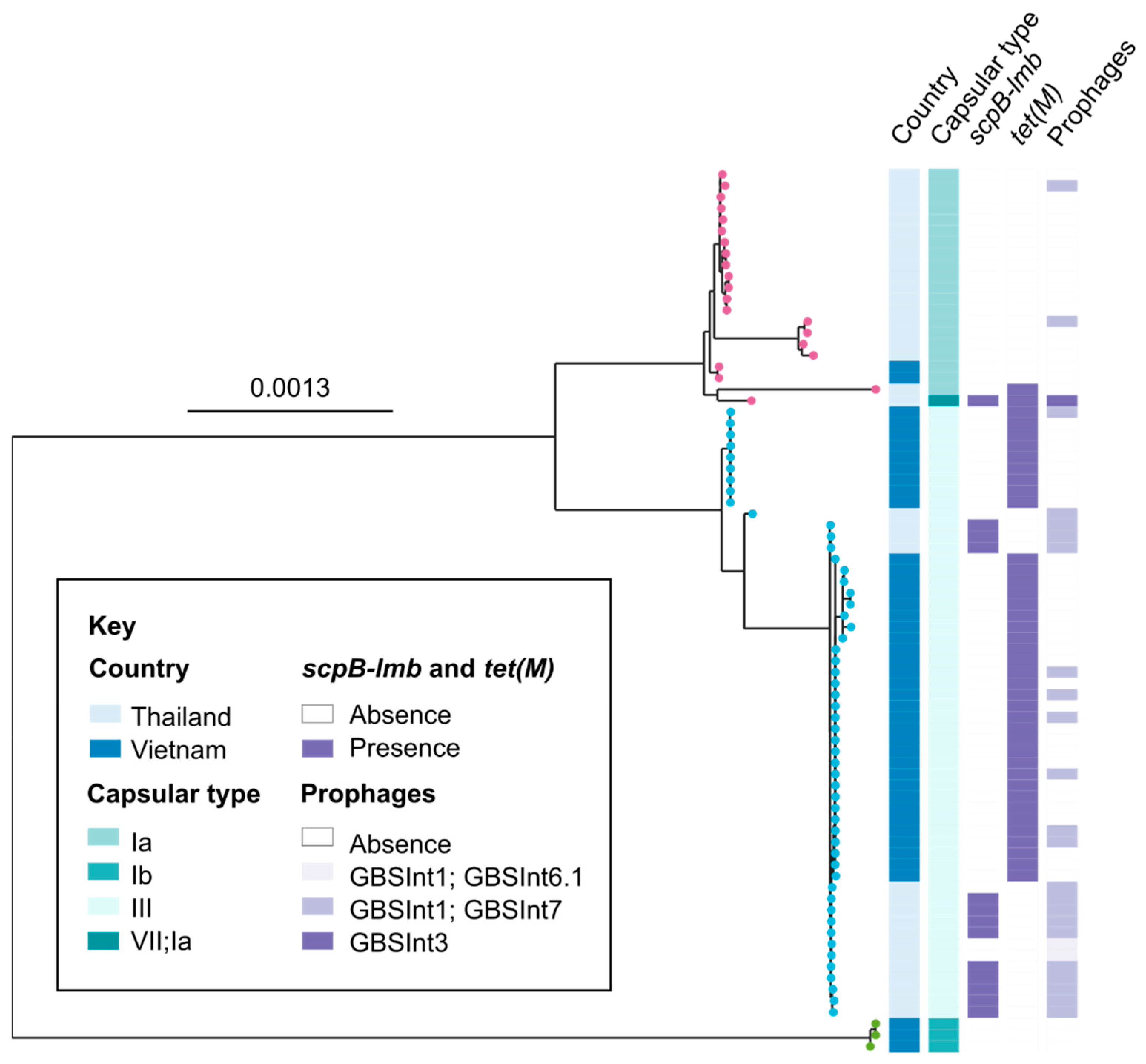 Pathogens 12 00525 g002