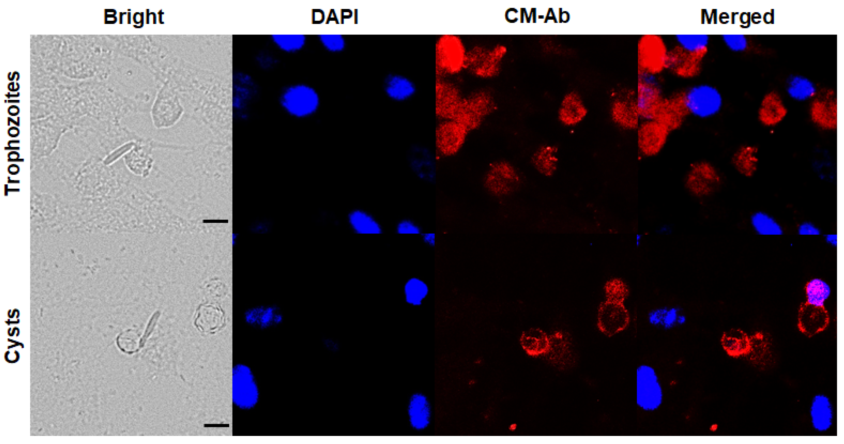 Pathogens 12 00526 g001