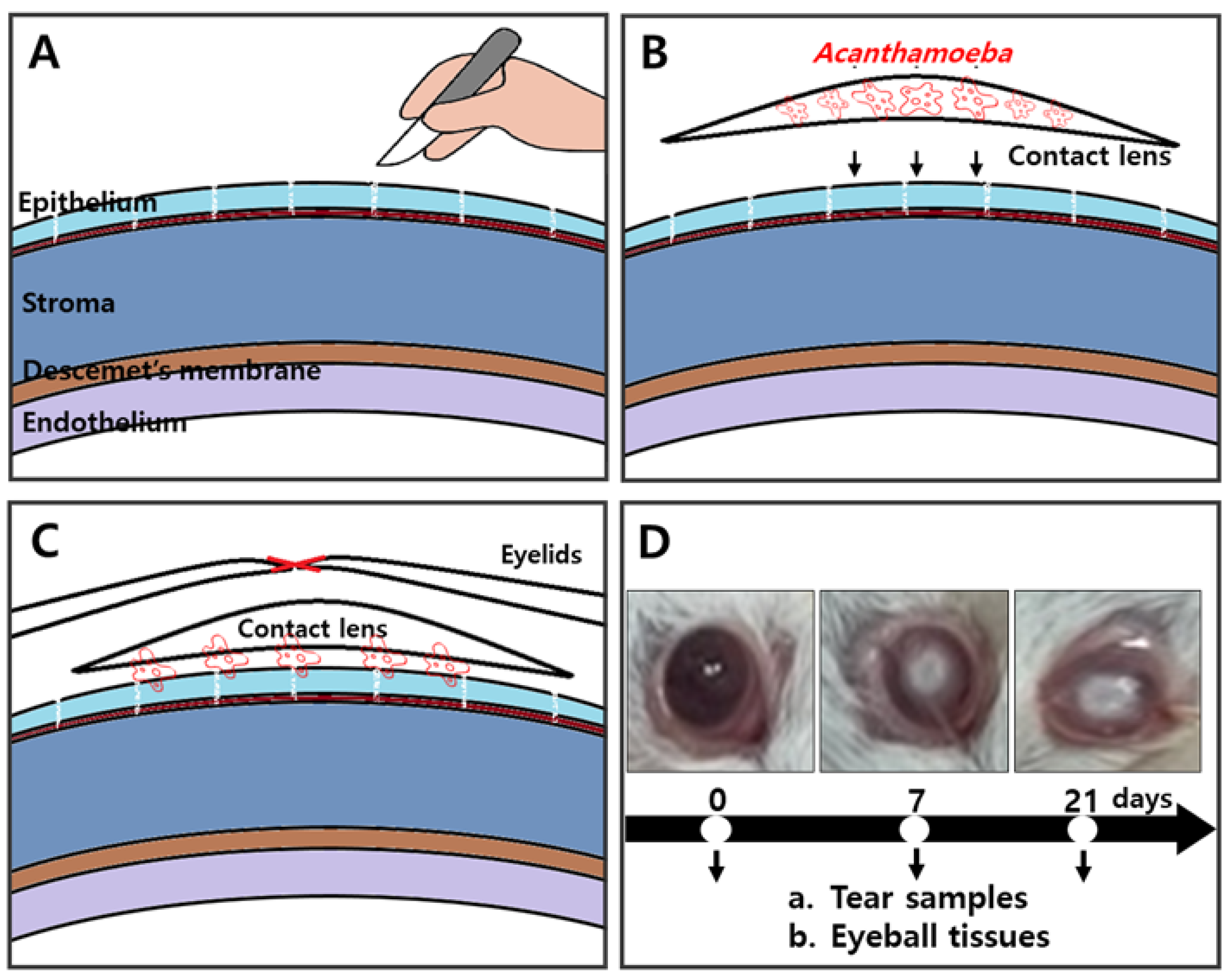 Pathogens 12 00526 g003