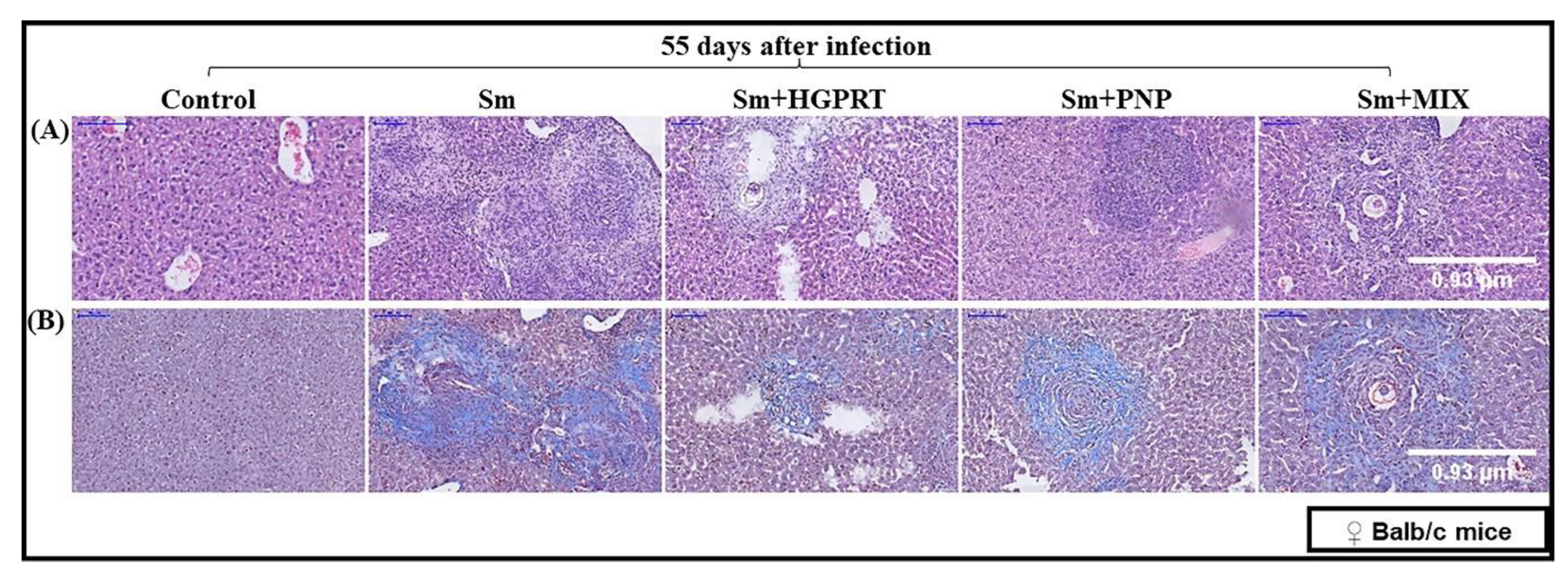 Pathogens 12 00527 g004