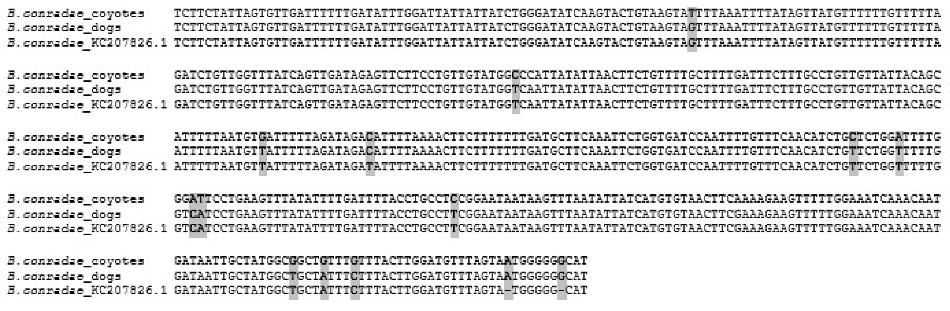 Pathogens 12 00528 g001